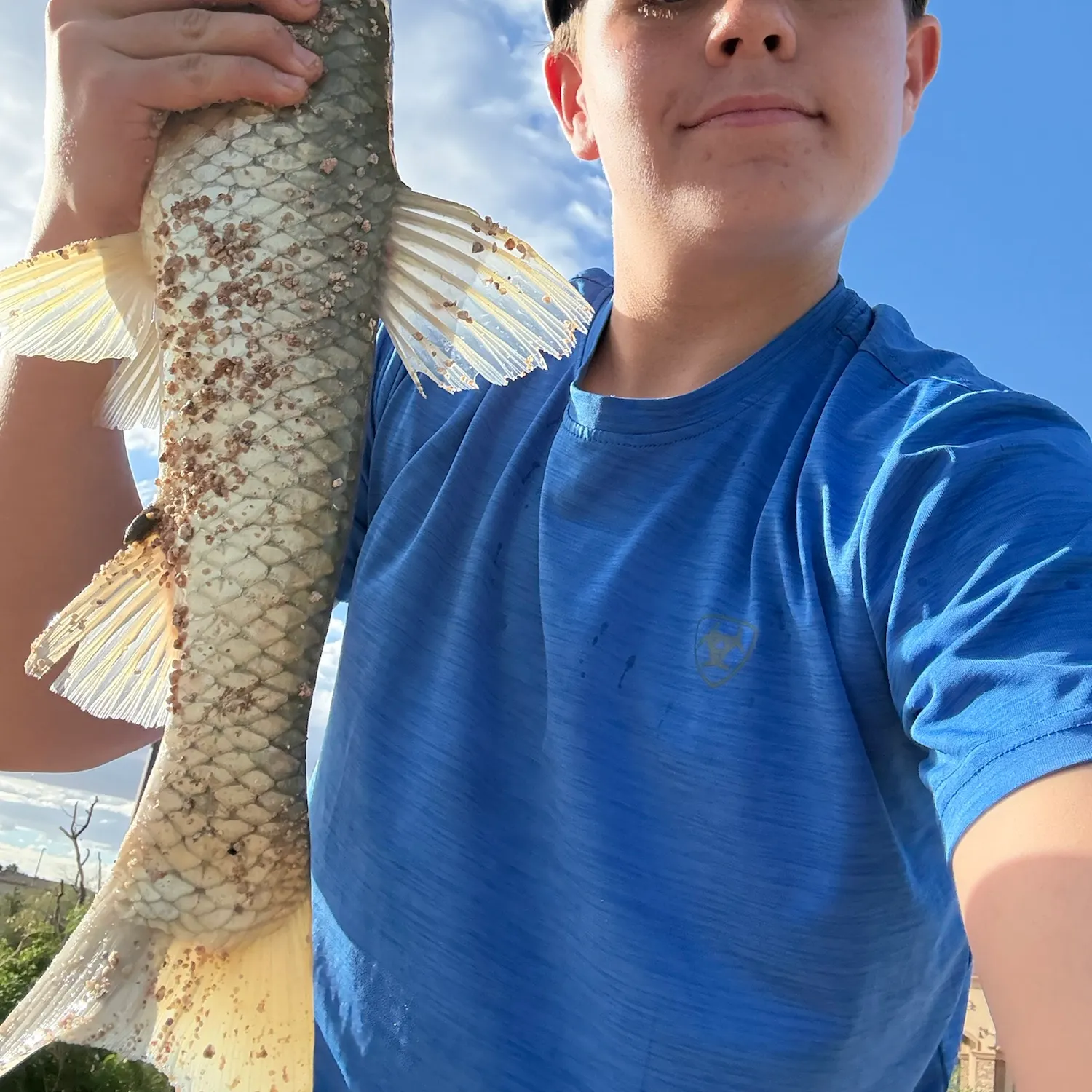 Grass carp caught on Fishbrain