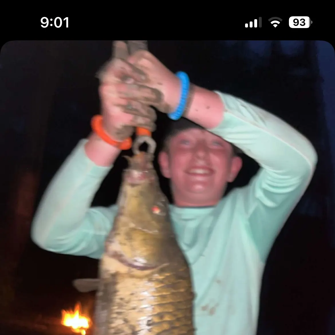 recently logged catches