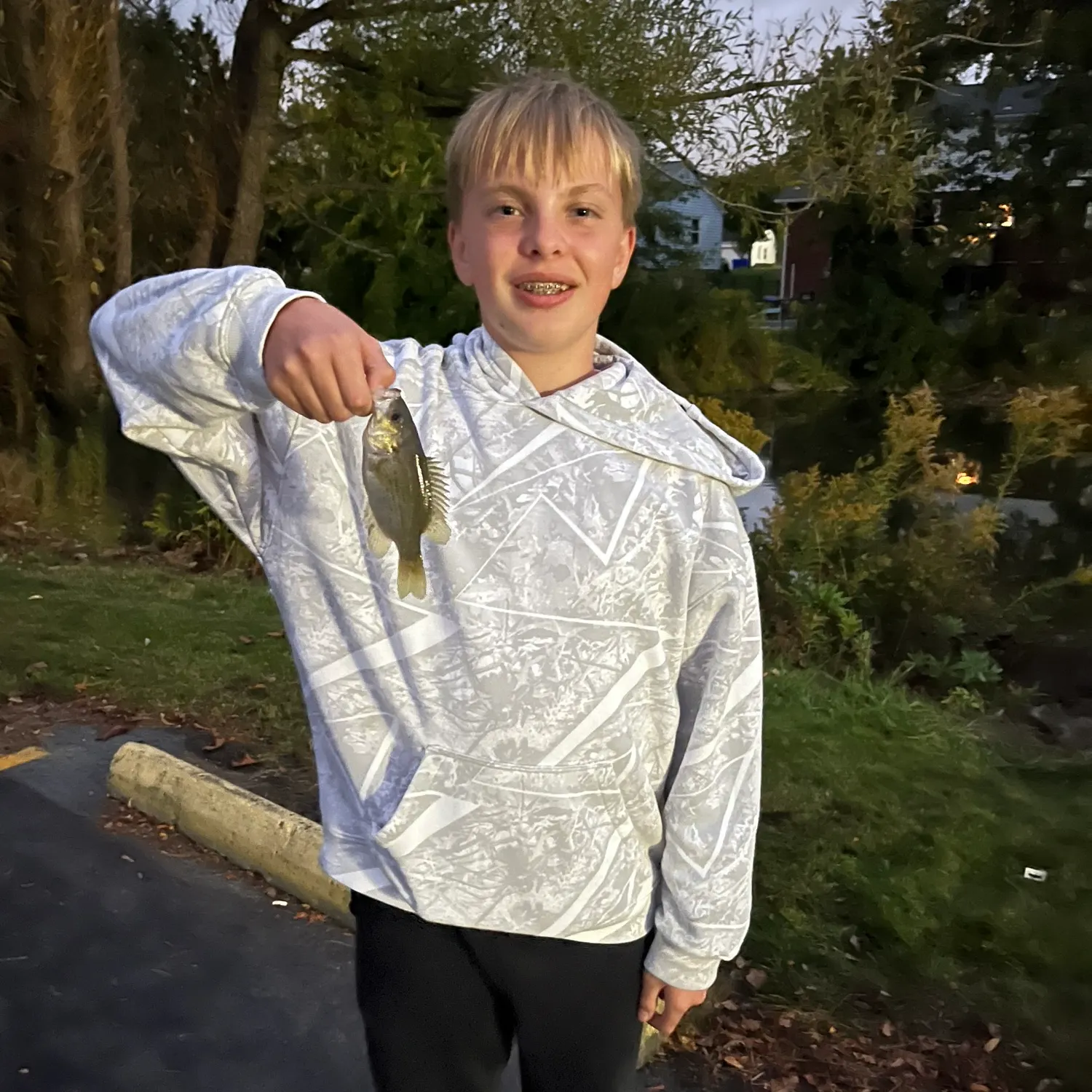 Rock bass caught on Fishbrain