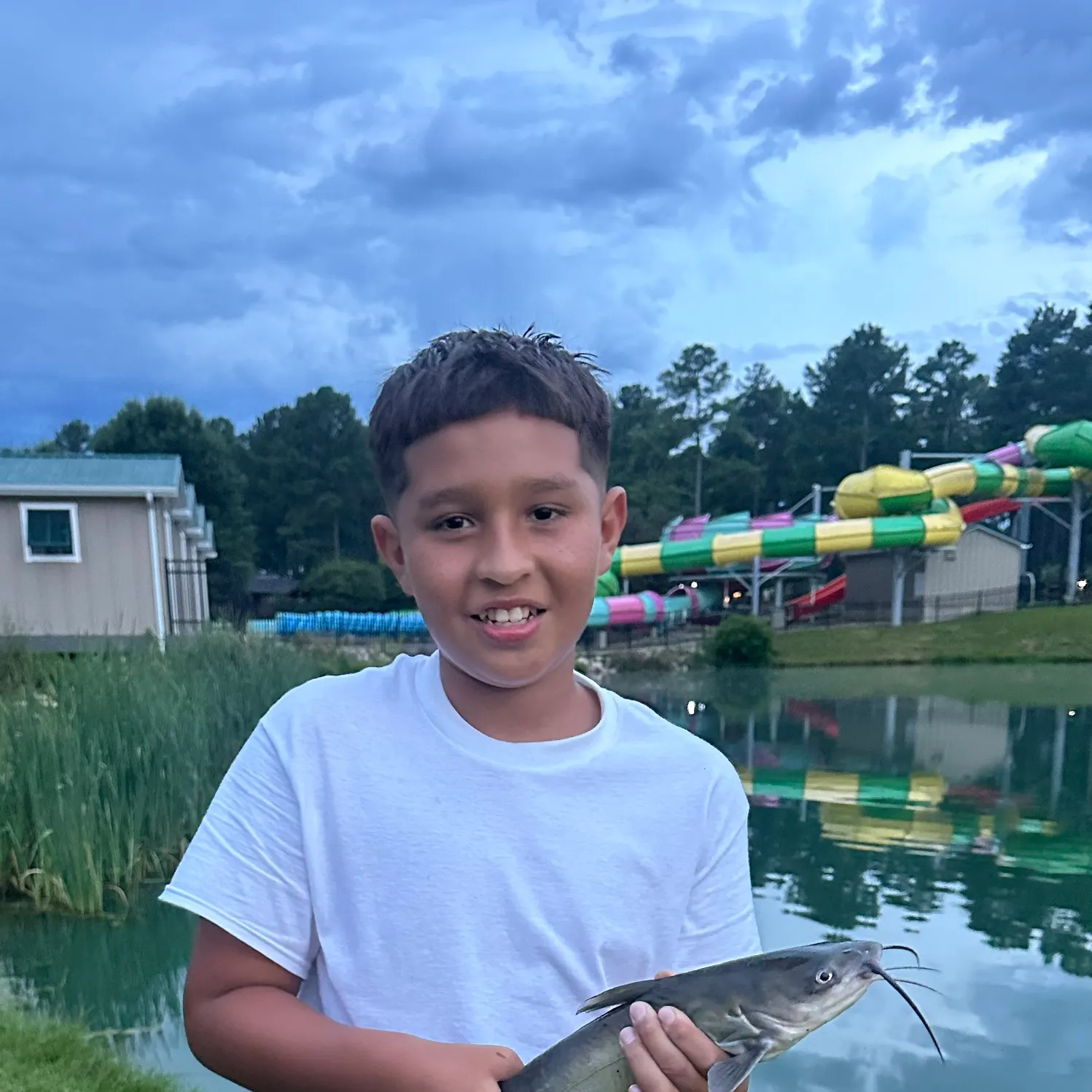 Blue catfish caught on Fishbrain