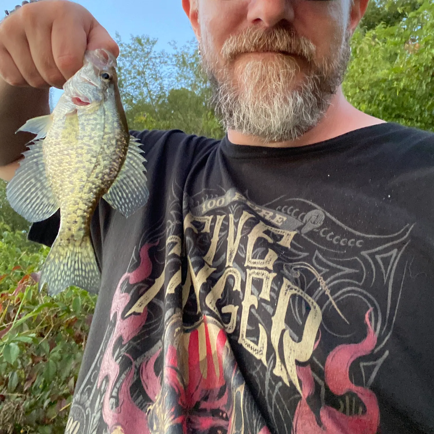 Black crappie caught on Fishbrain