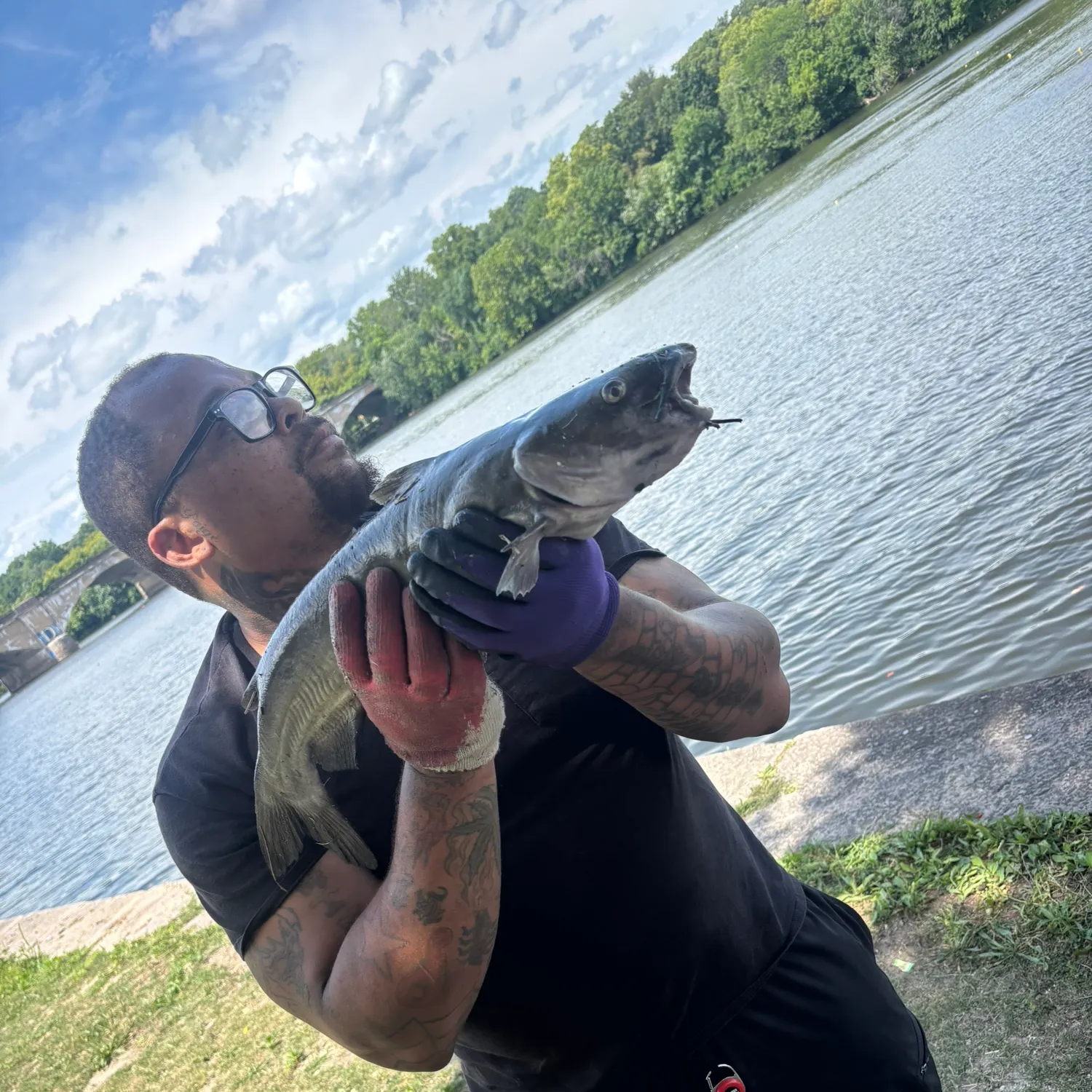 catch