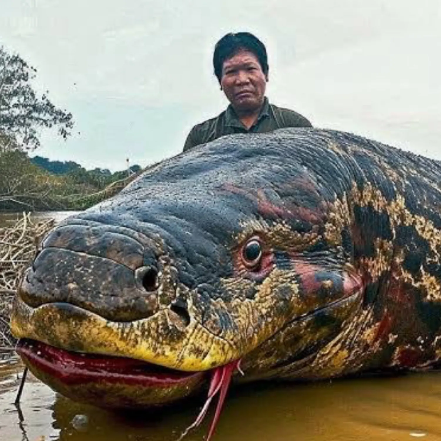 angler catch