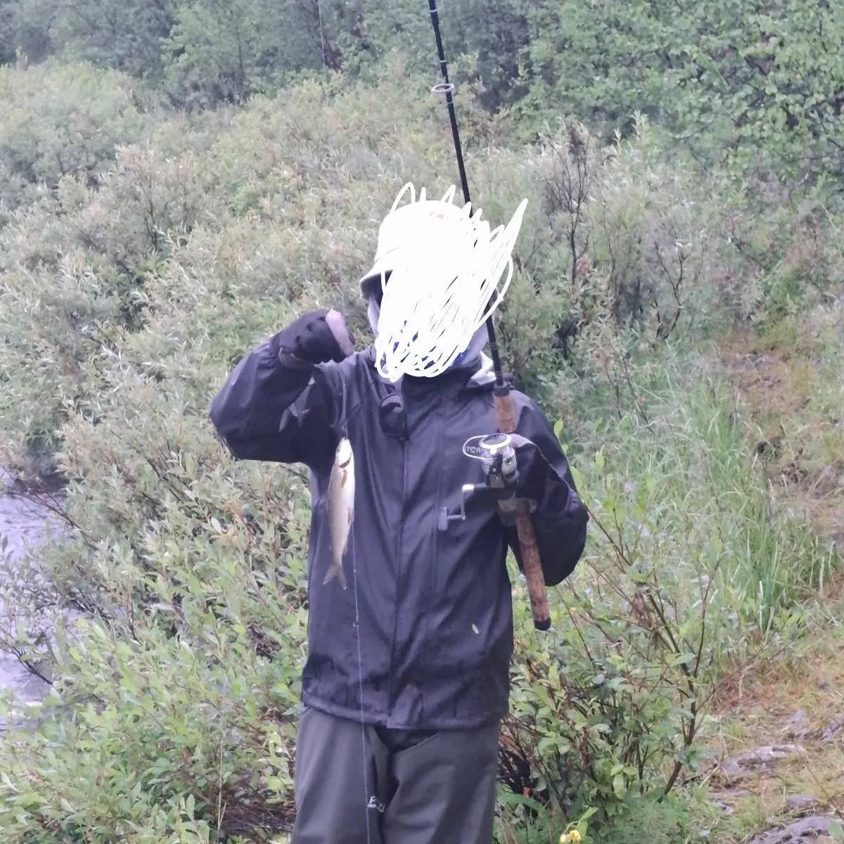 European grayling caught on Fishbrain