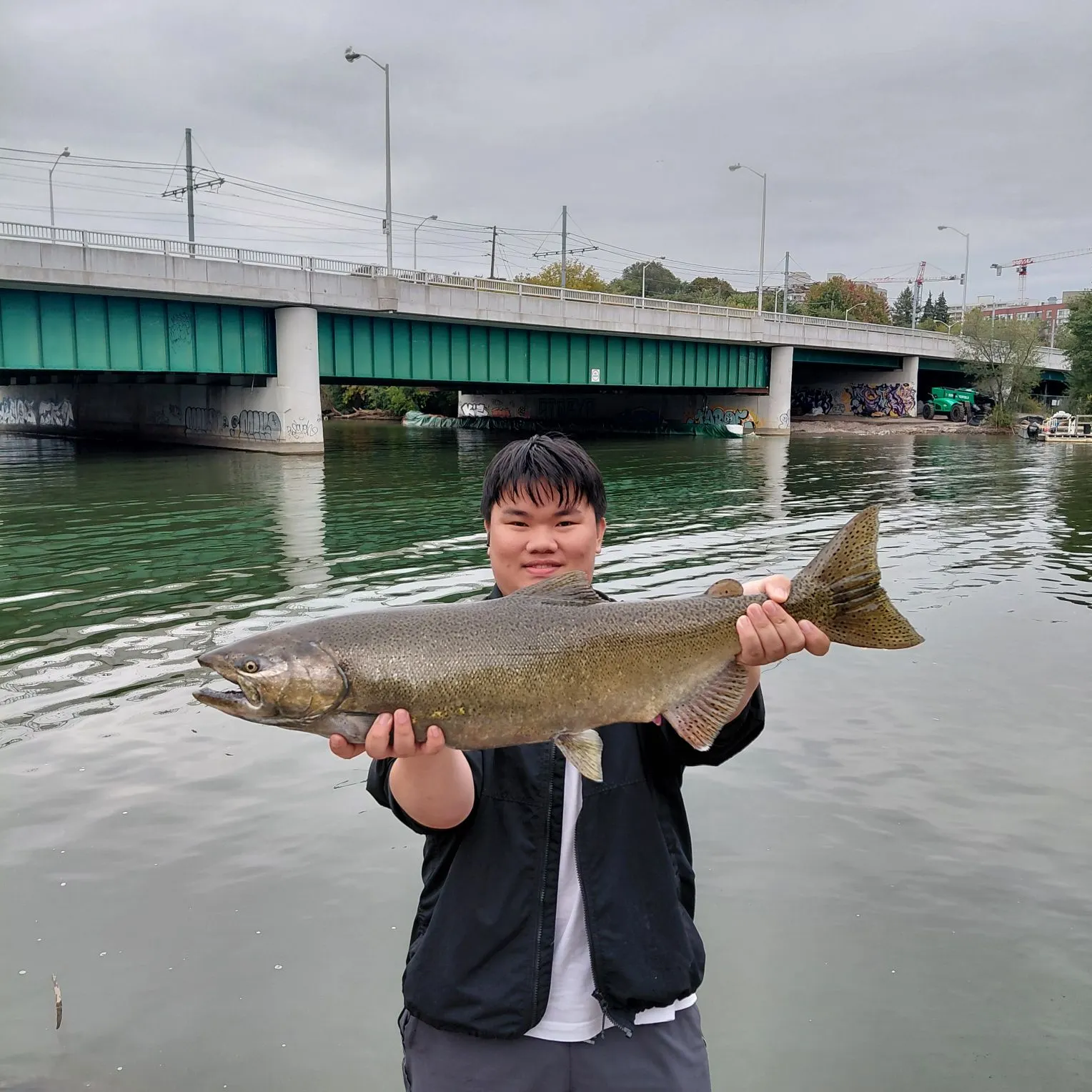 Chinook salmon caught on Fishbrain