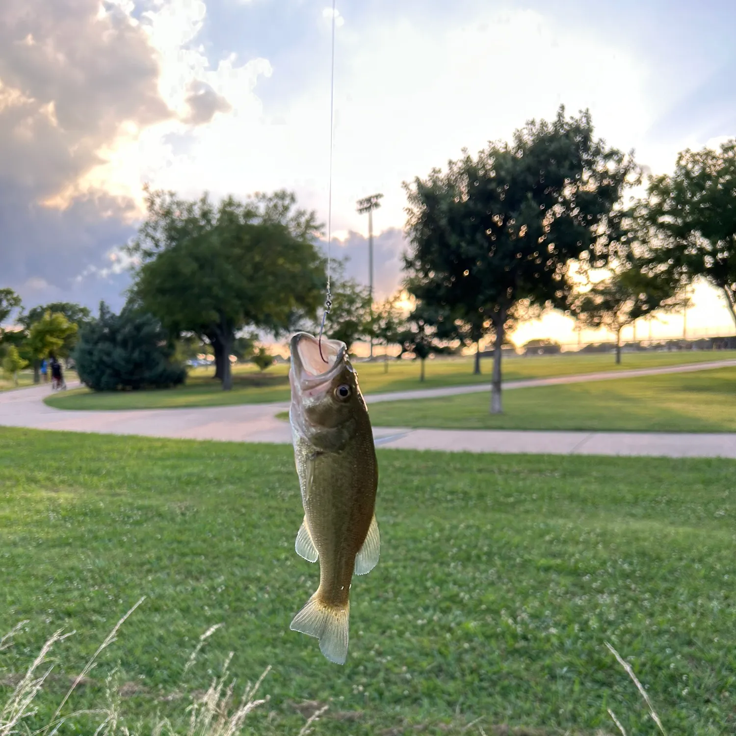 catch