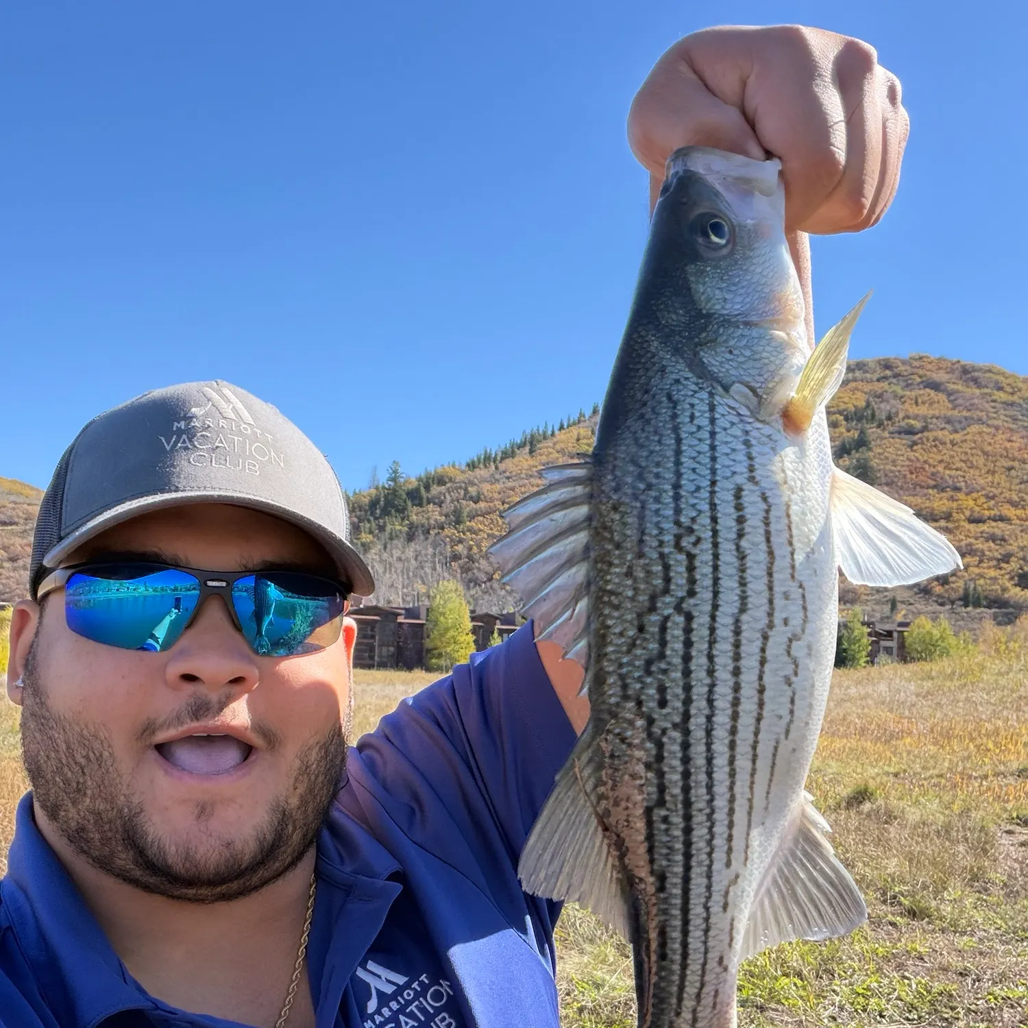 Wiper caught on Fishbrain