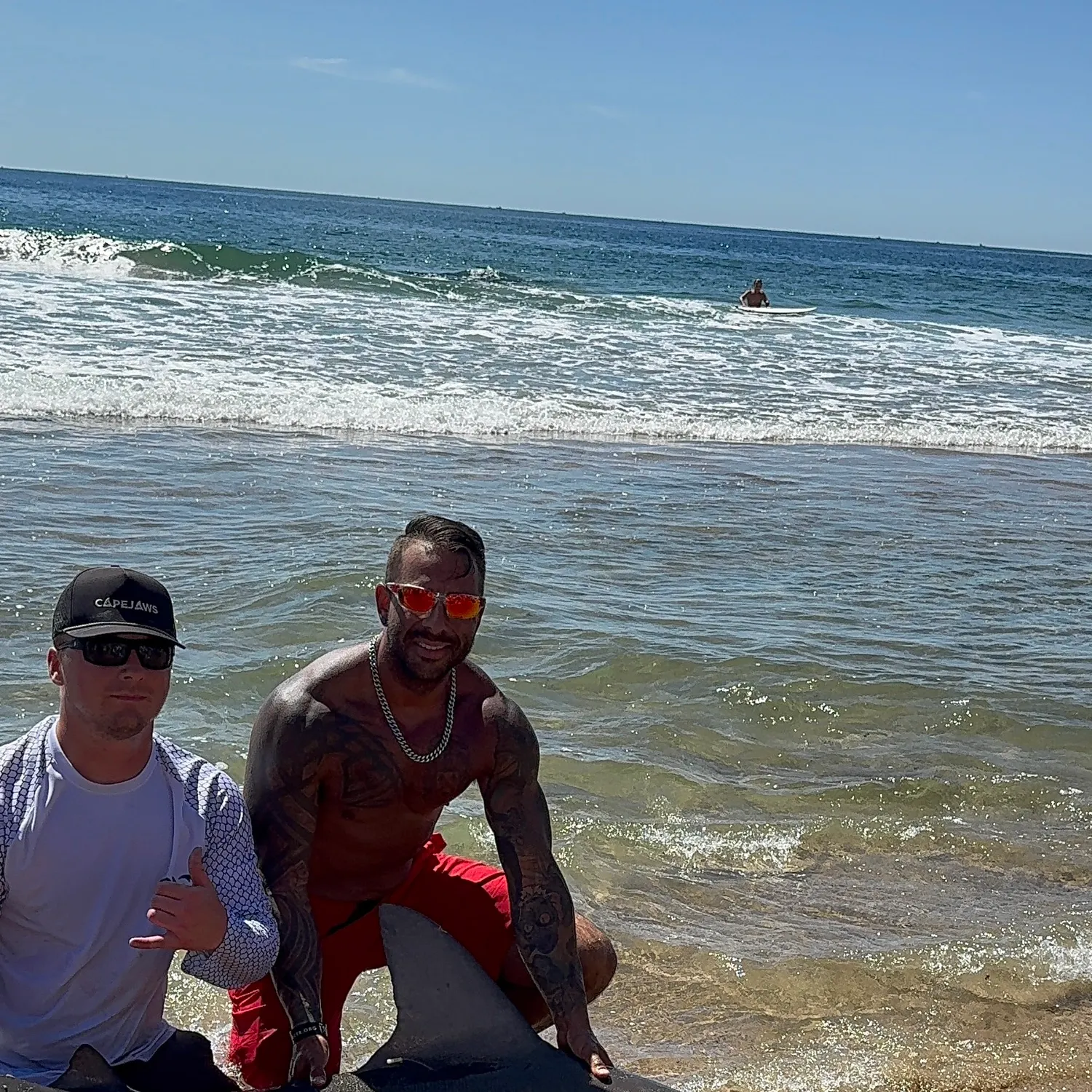 The most recent Sandbar shark catches on Fishbrain