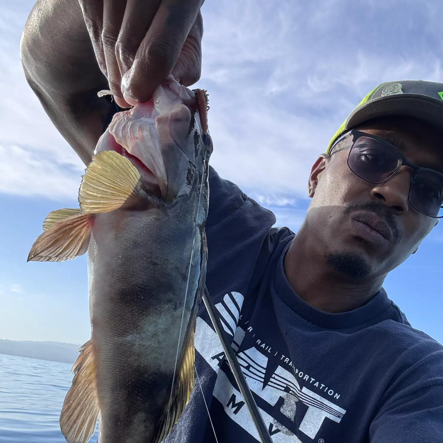 Barred sand bass caught on Fishbrain