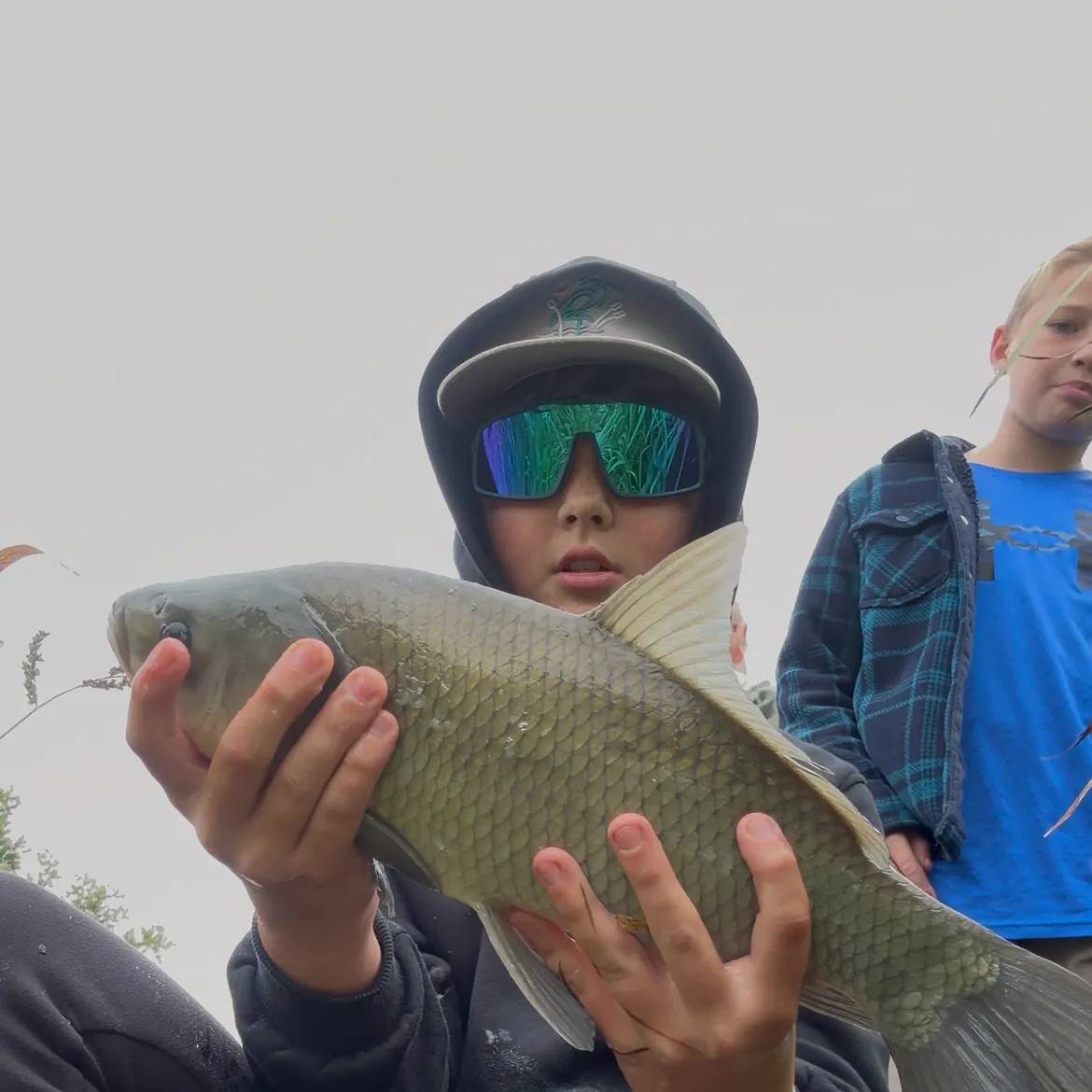 Smallmouth buffalo caught on Fishbrain