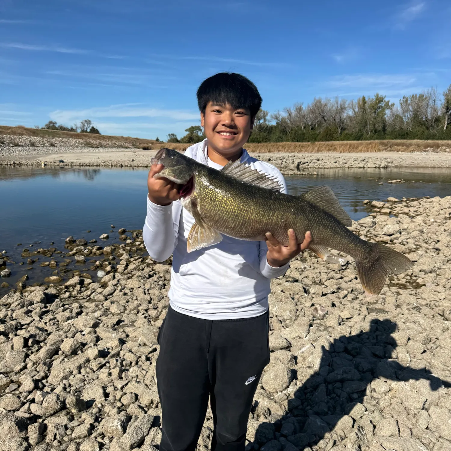 Walleye caught on Fishbrain