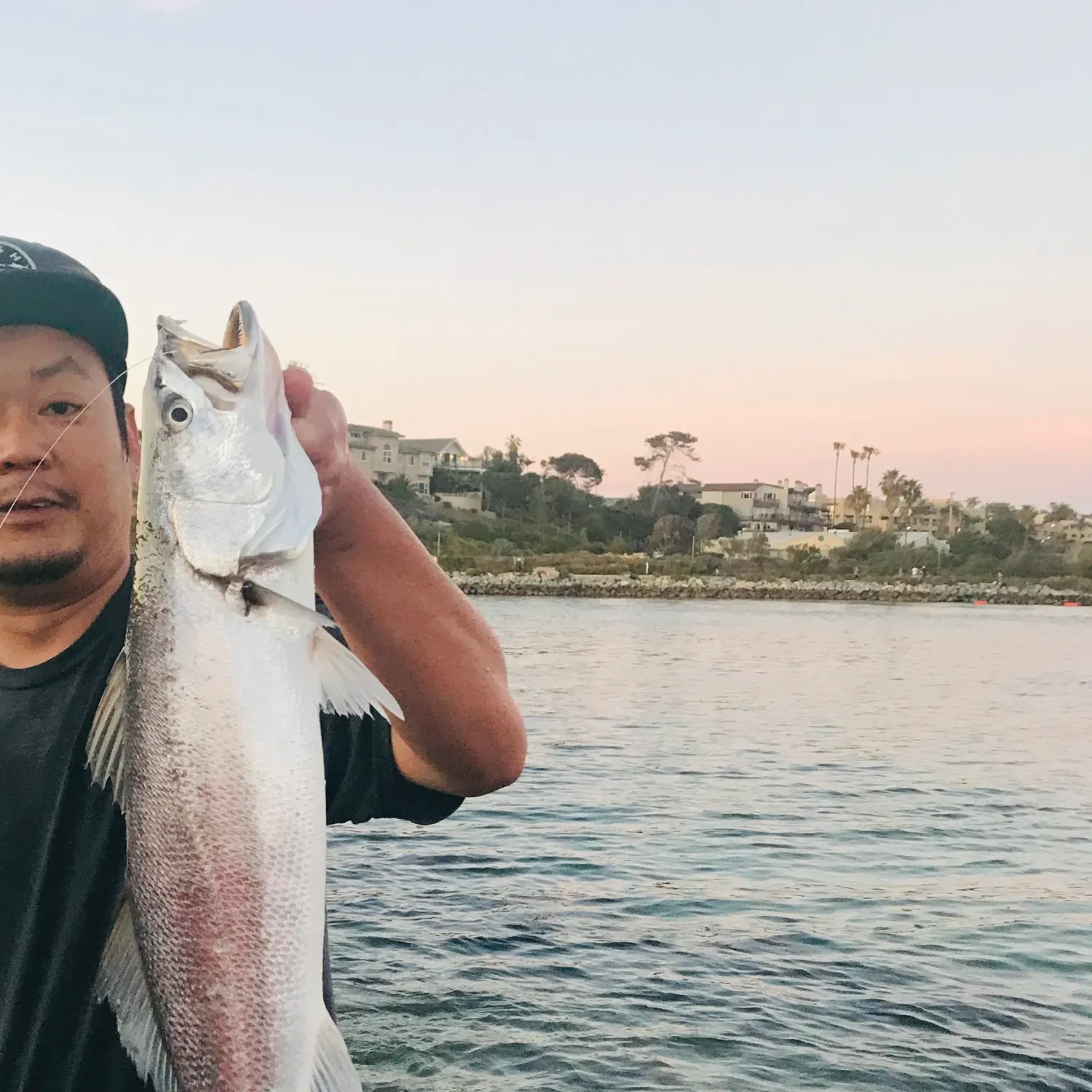 The most popular recent Orangemouth weakfish catch on Fishbrain