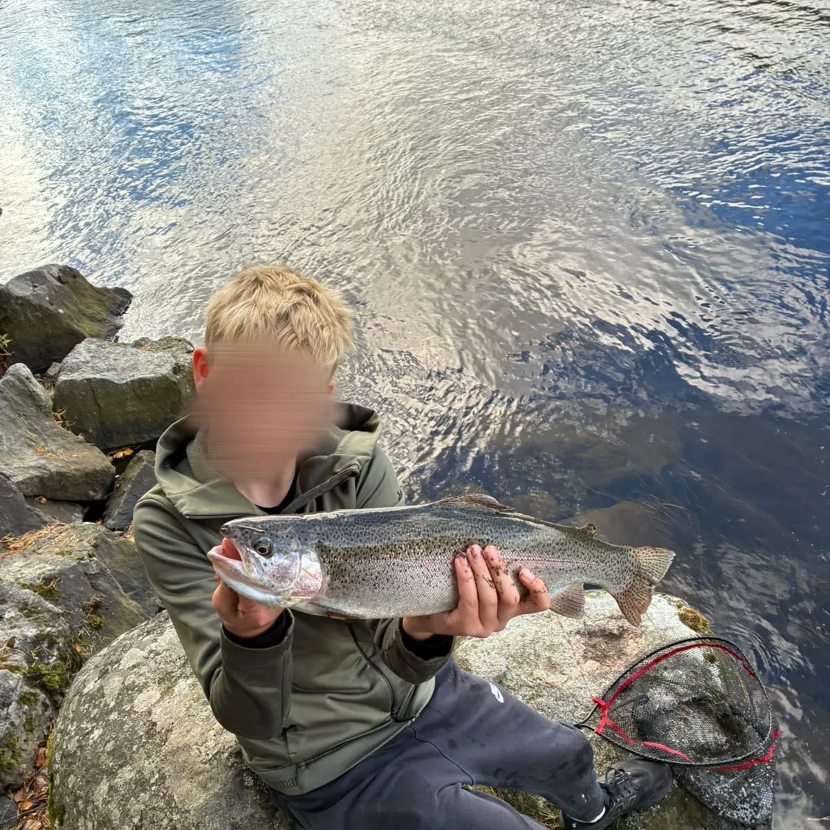 Rainbow trout caught on Fishbrain