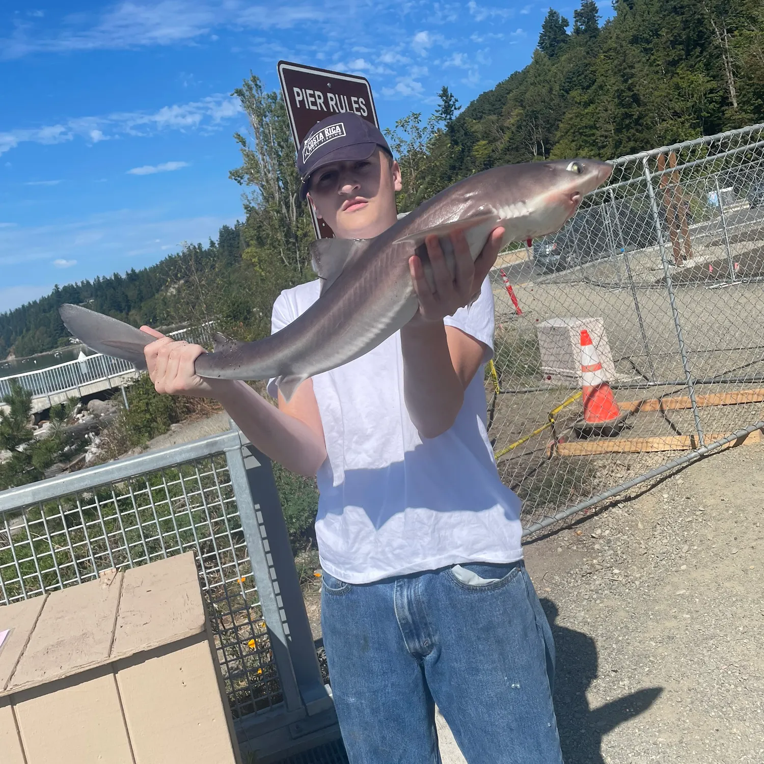 The most recent Pacific spiny dogfish catches on Fishbrain