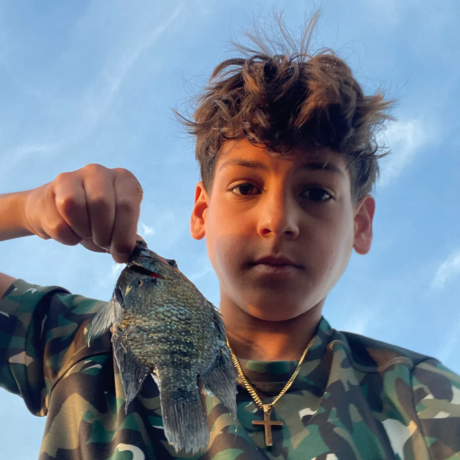 The most recent Rio Grande cichlid catches on Fishbrain