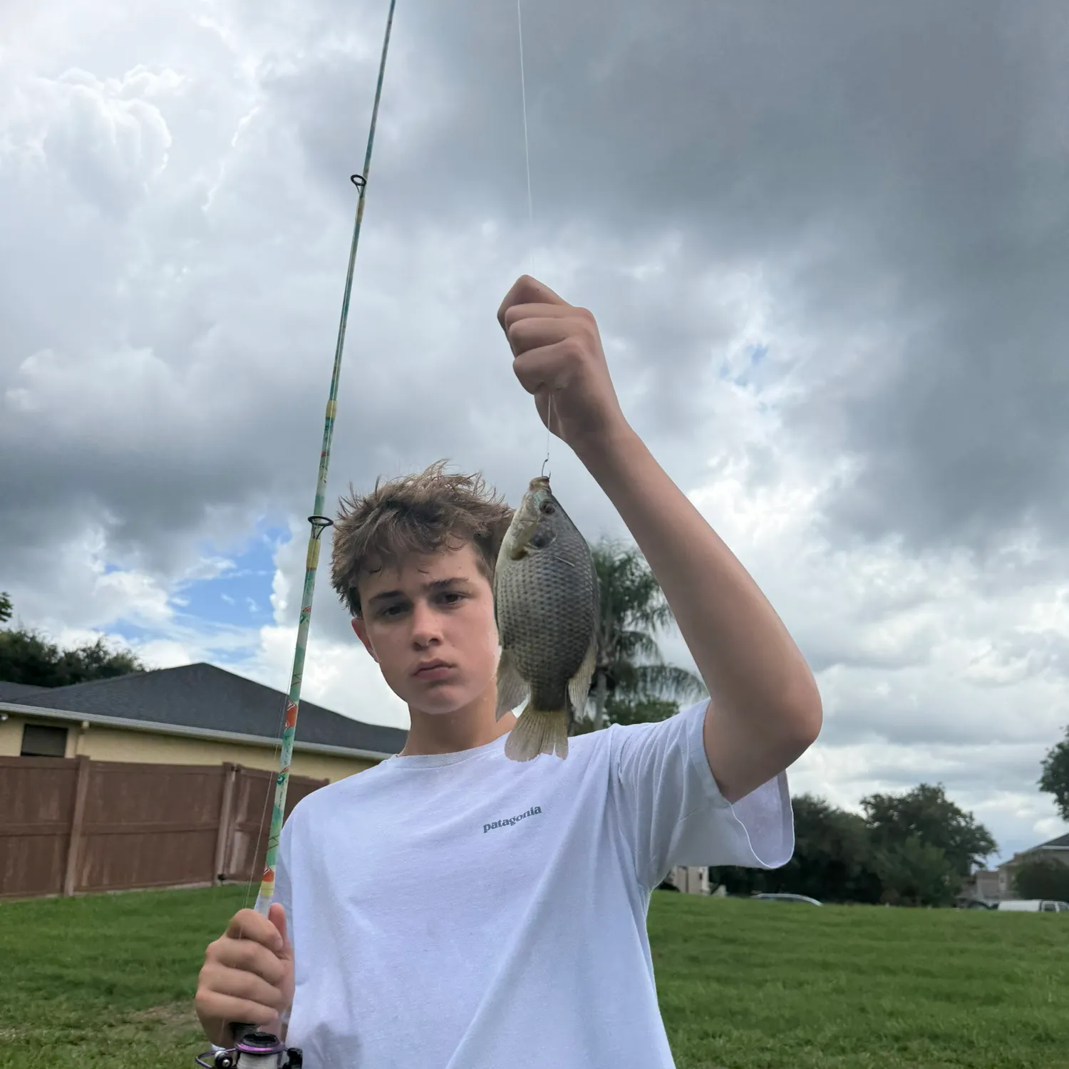 The most recent Longfin tilapia catches on Fishbrain