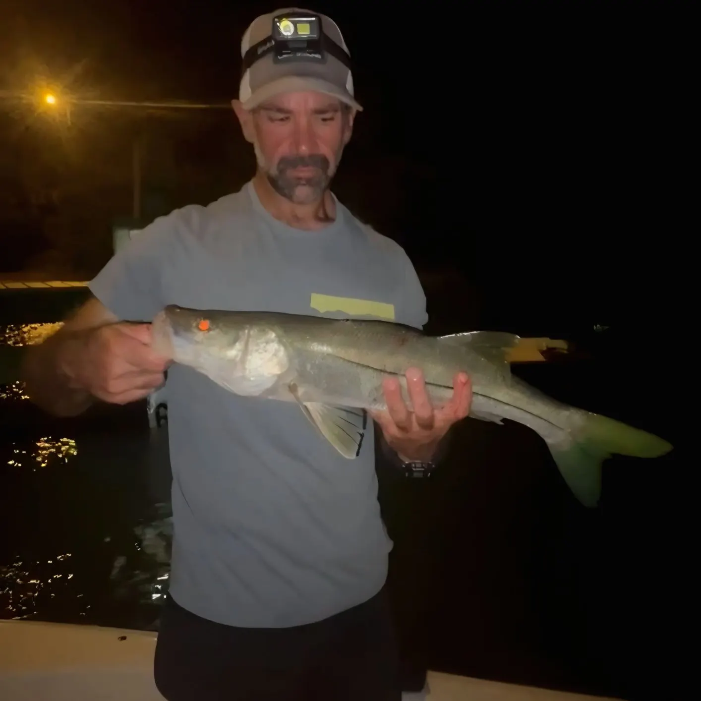Common snook caught on Fishbrain