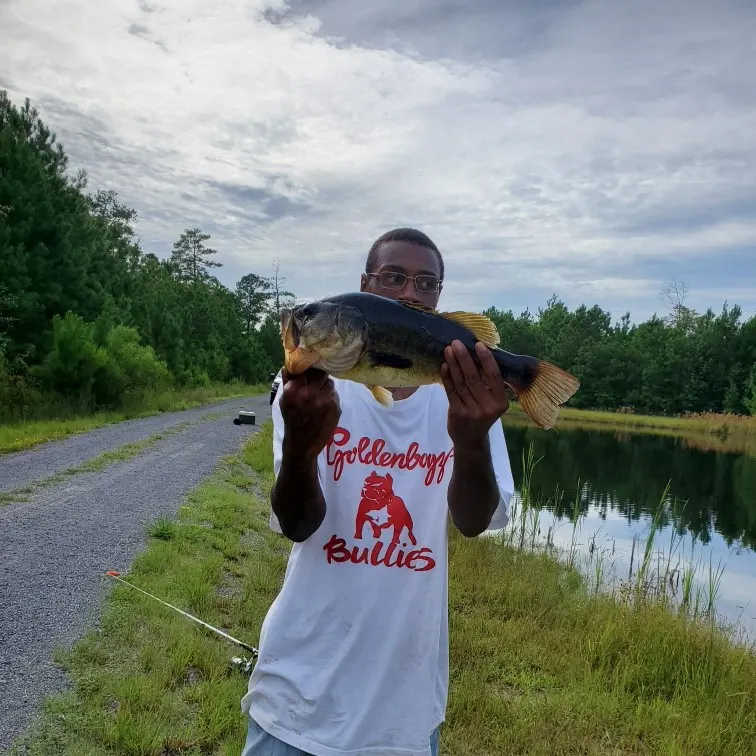 angler catch