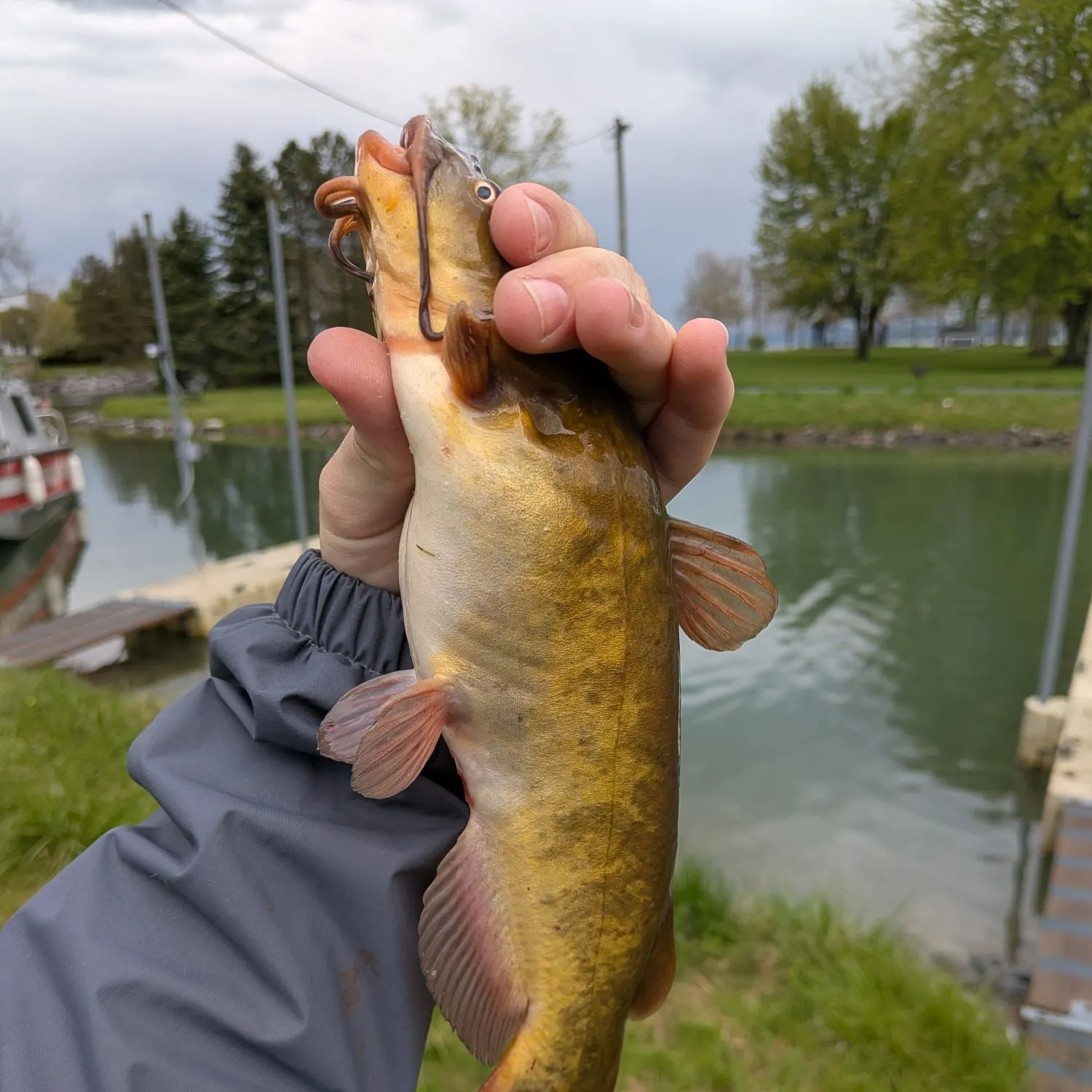 catch
