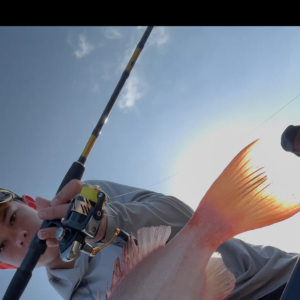 The most recent Spotted coralgrouper catches on Fishbrain
