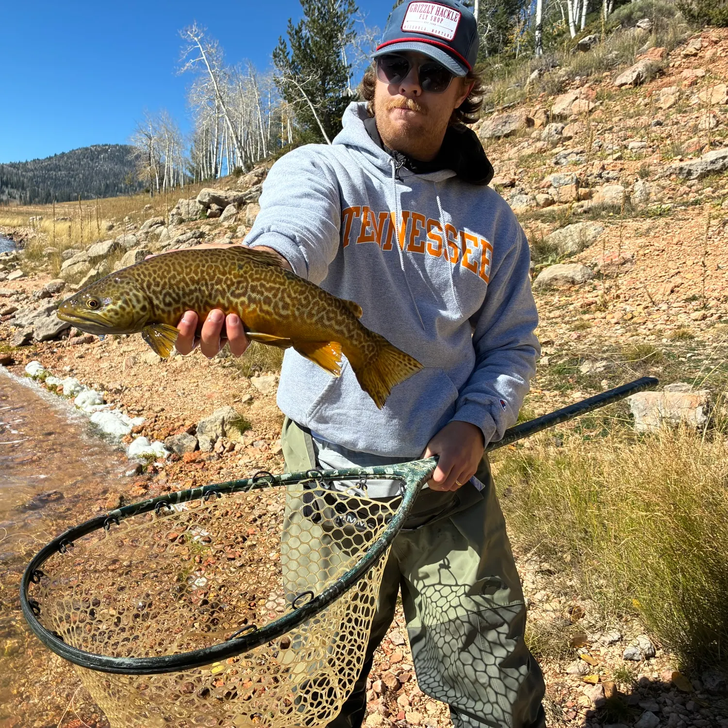 Tiger trout caught on Fishbrain