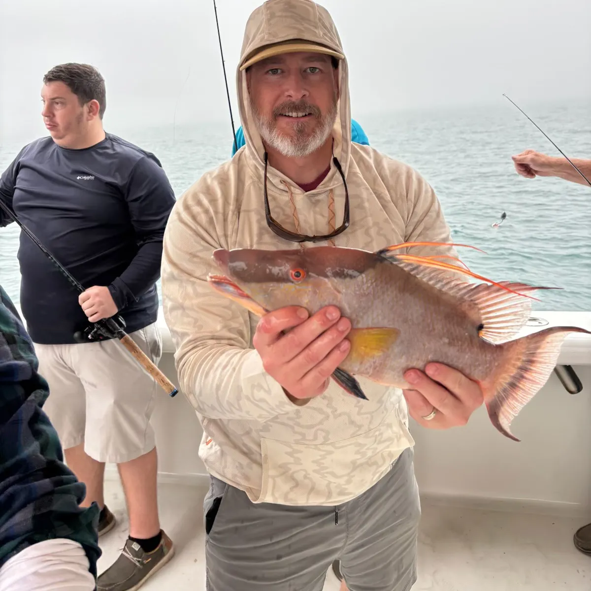 The most recent Hogfish catches on Fishbrain