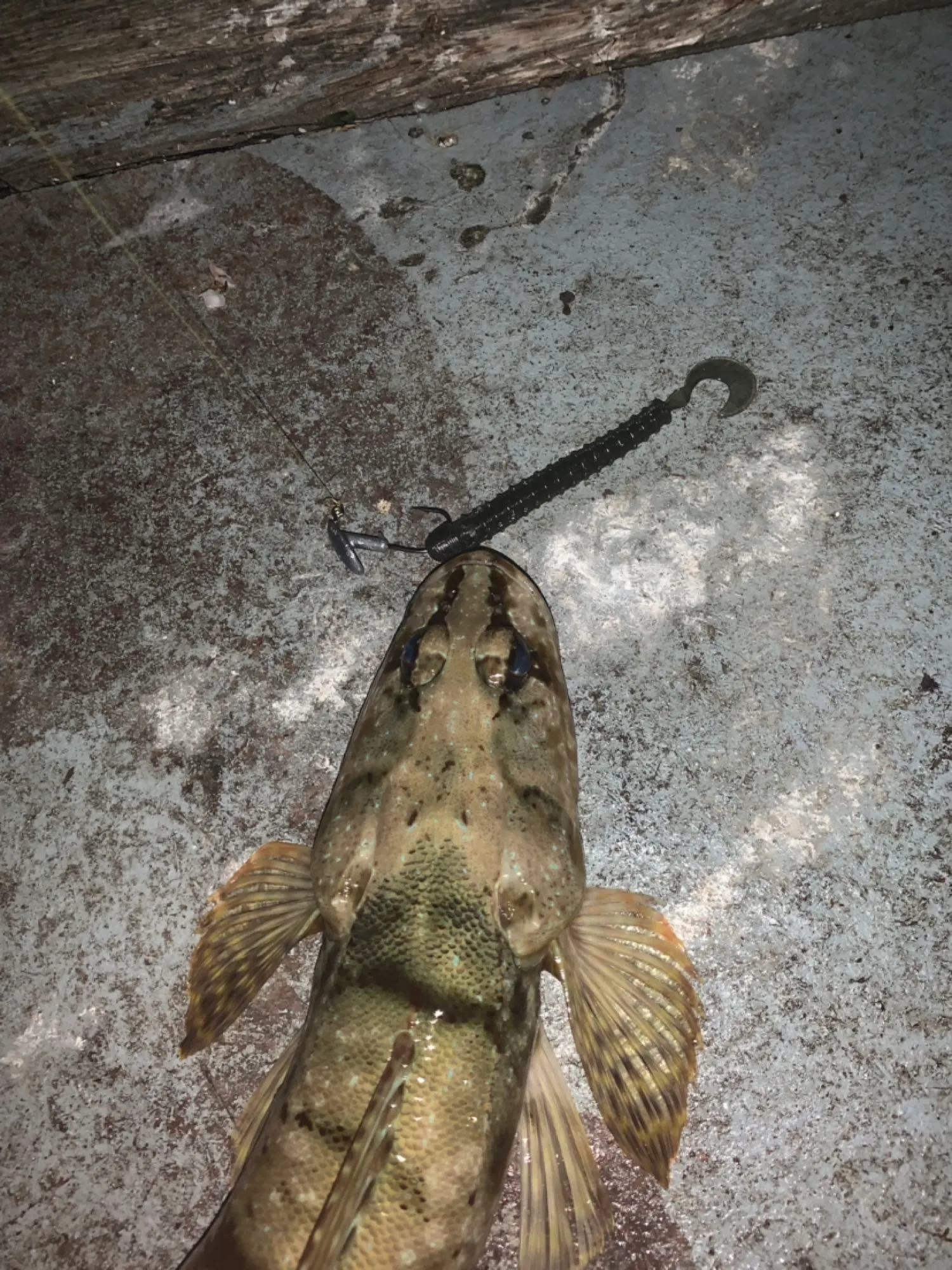 Post image from benjimizzi