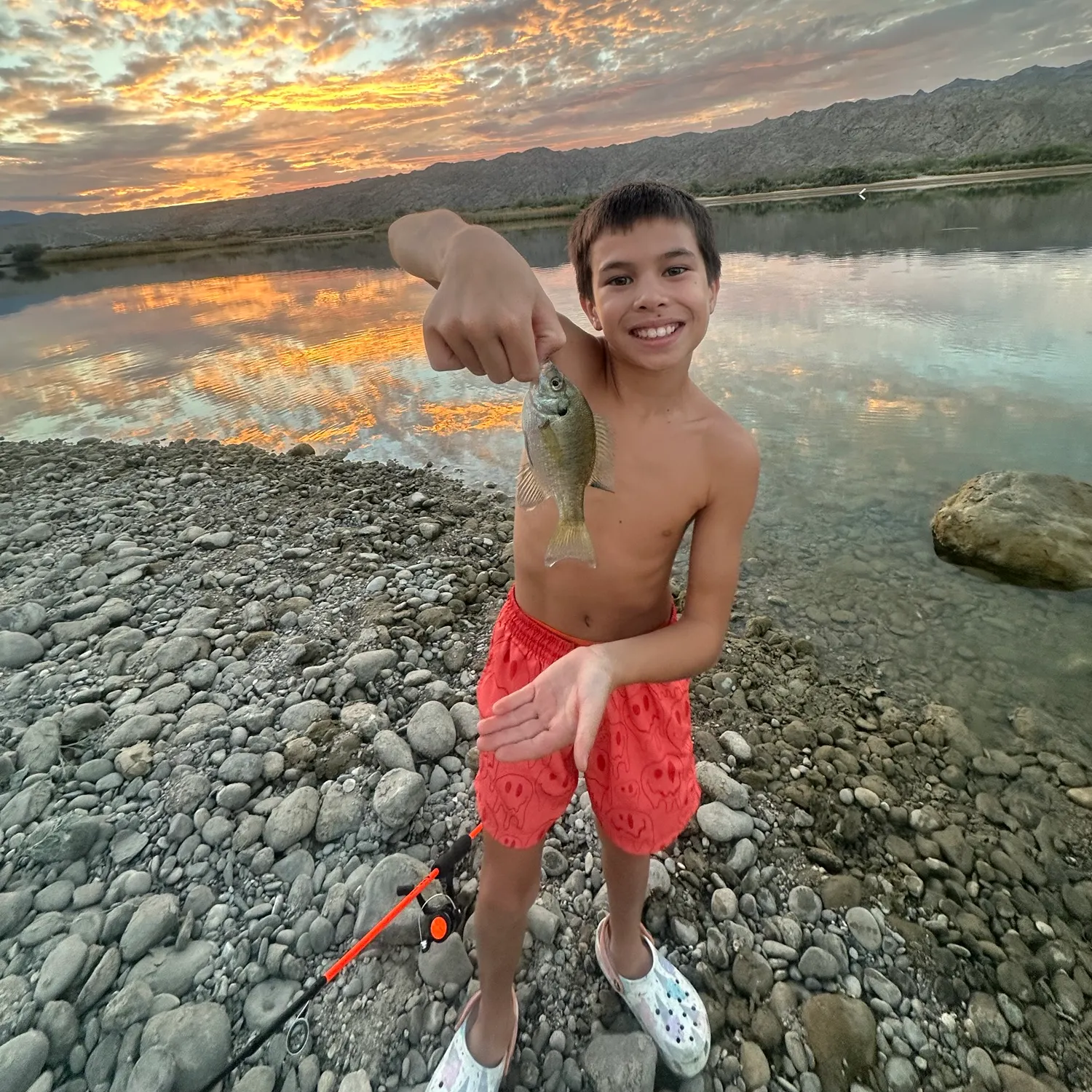 Bluegill caught on Fishbrain