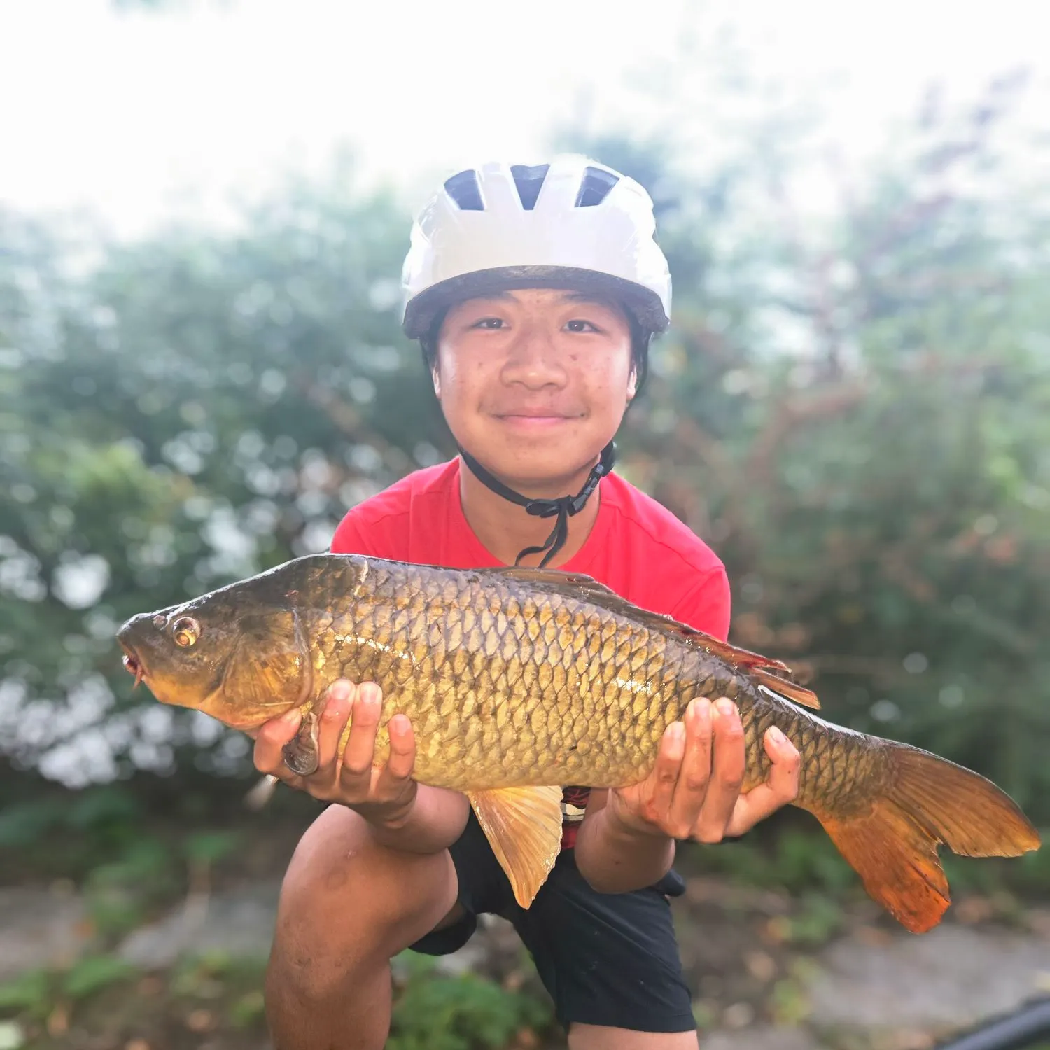 Common carp caught on Fishbrain