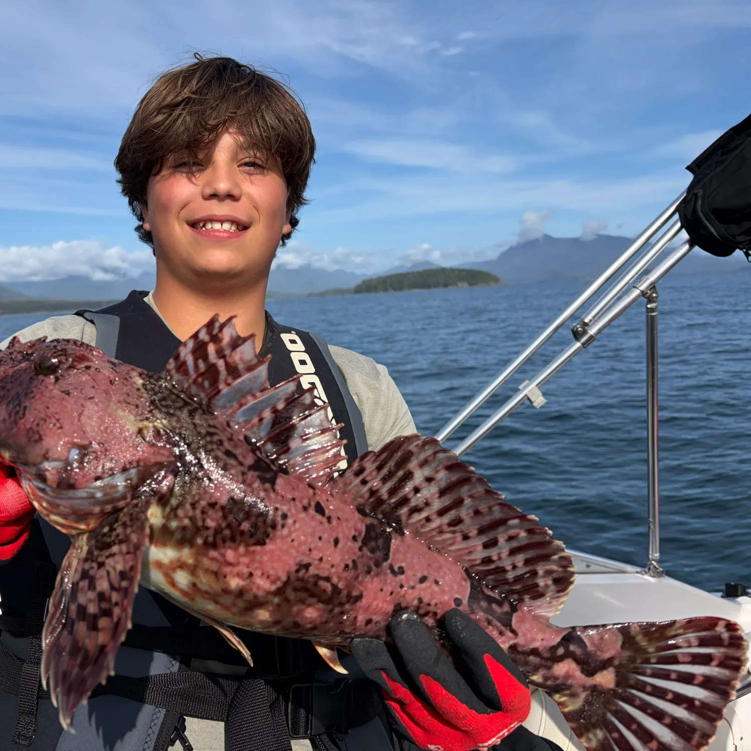 Cabezon caught on Fishbrain