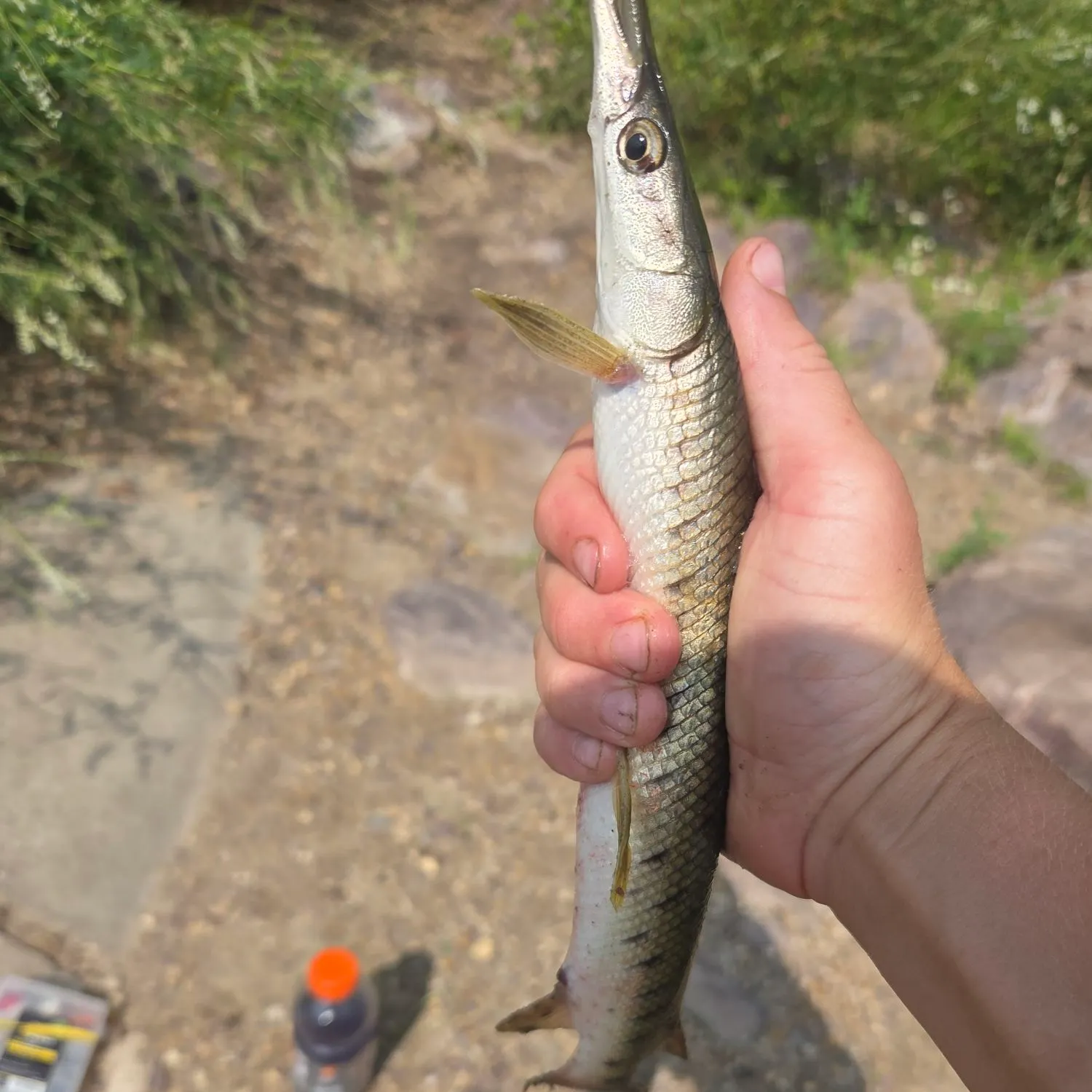 catch