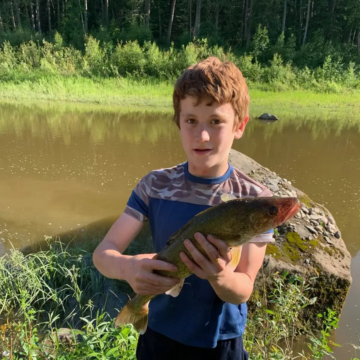 Walleye caught on Fishbrain