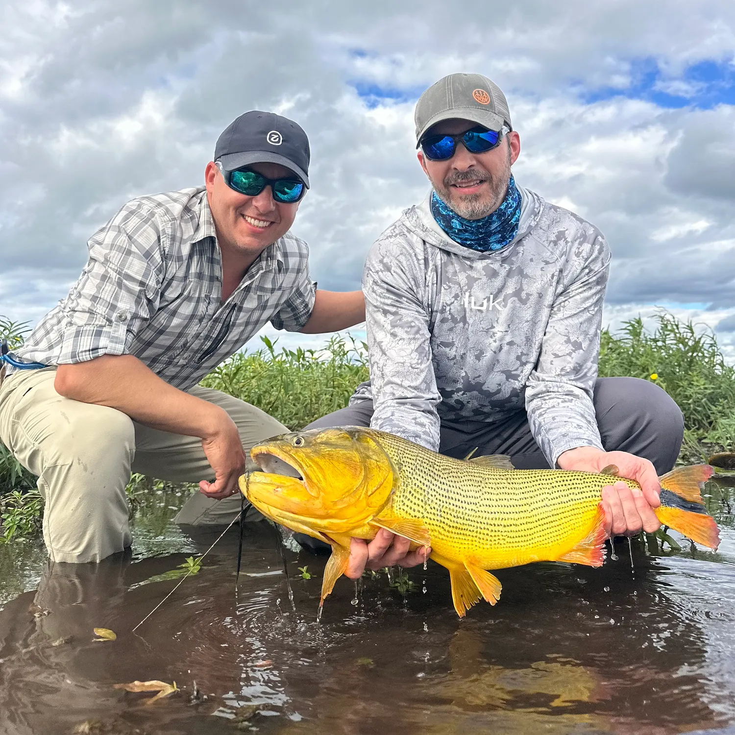The most recent Golden dorado catches on Fishbrain
