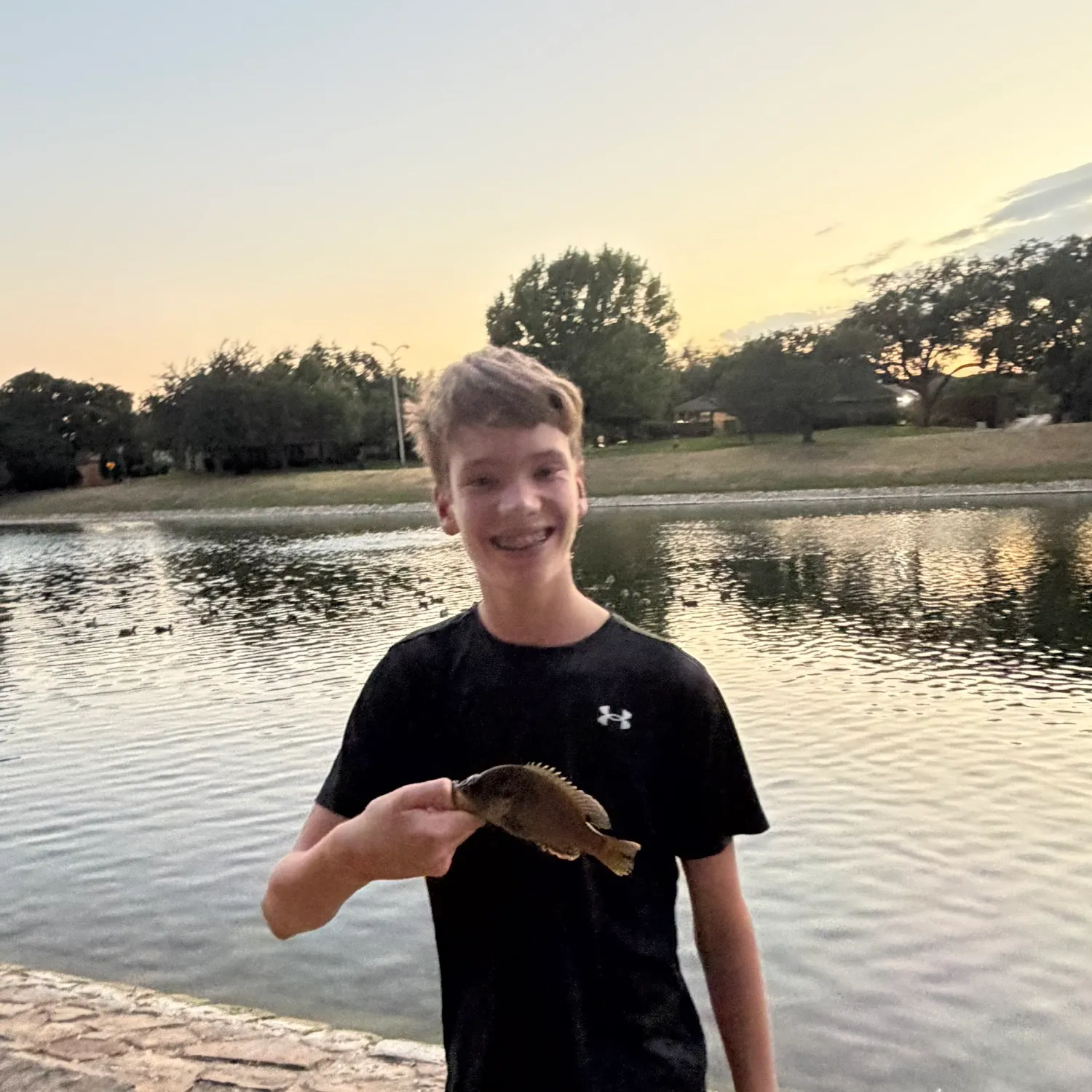 Greengill hybrid caught on Fishbrain