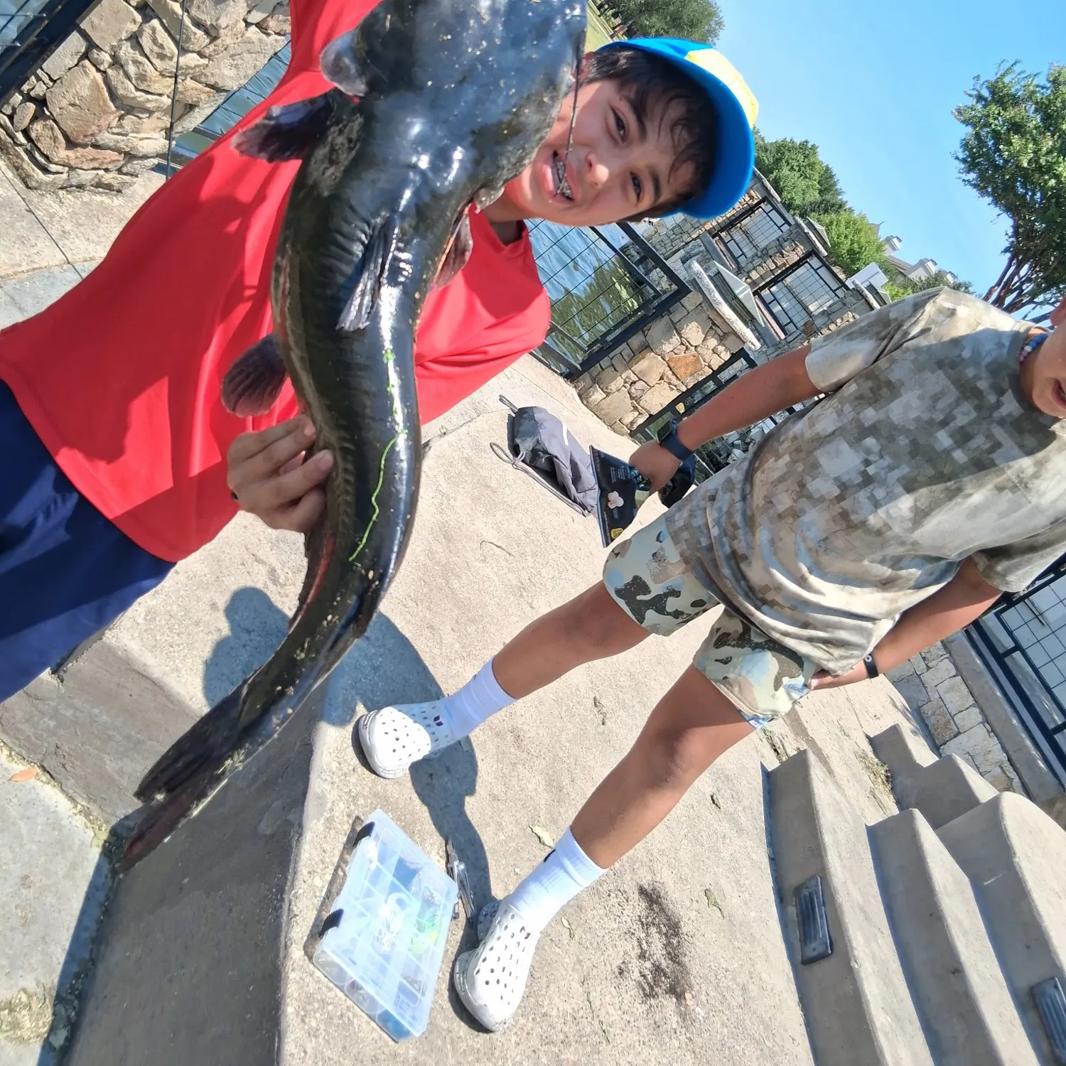 Flathead catfish caught on Fishbrain