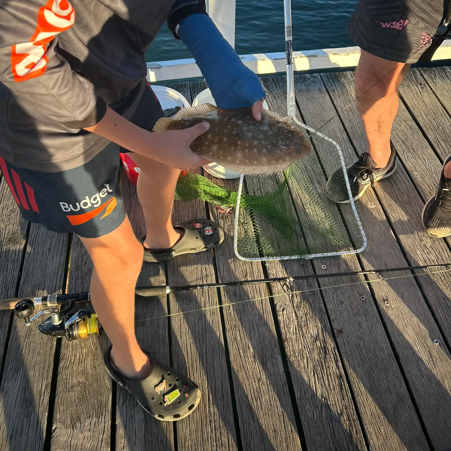 The most recent Olive flounder catches on Fishbrain