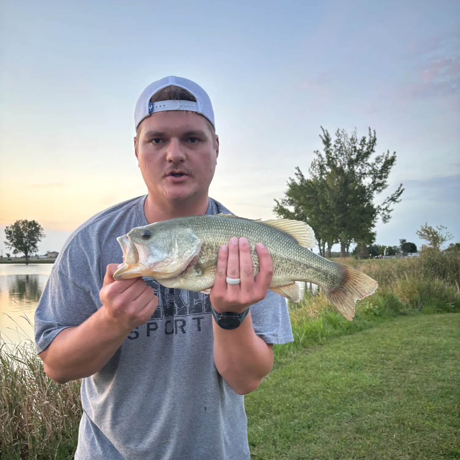 Largemouth bass caught on Fishbrain