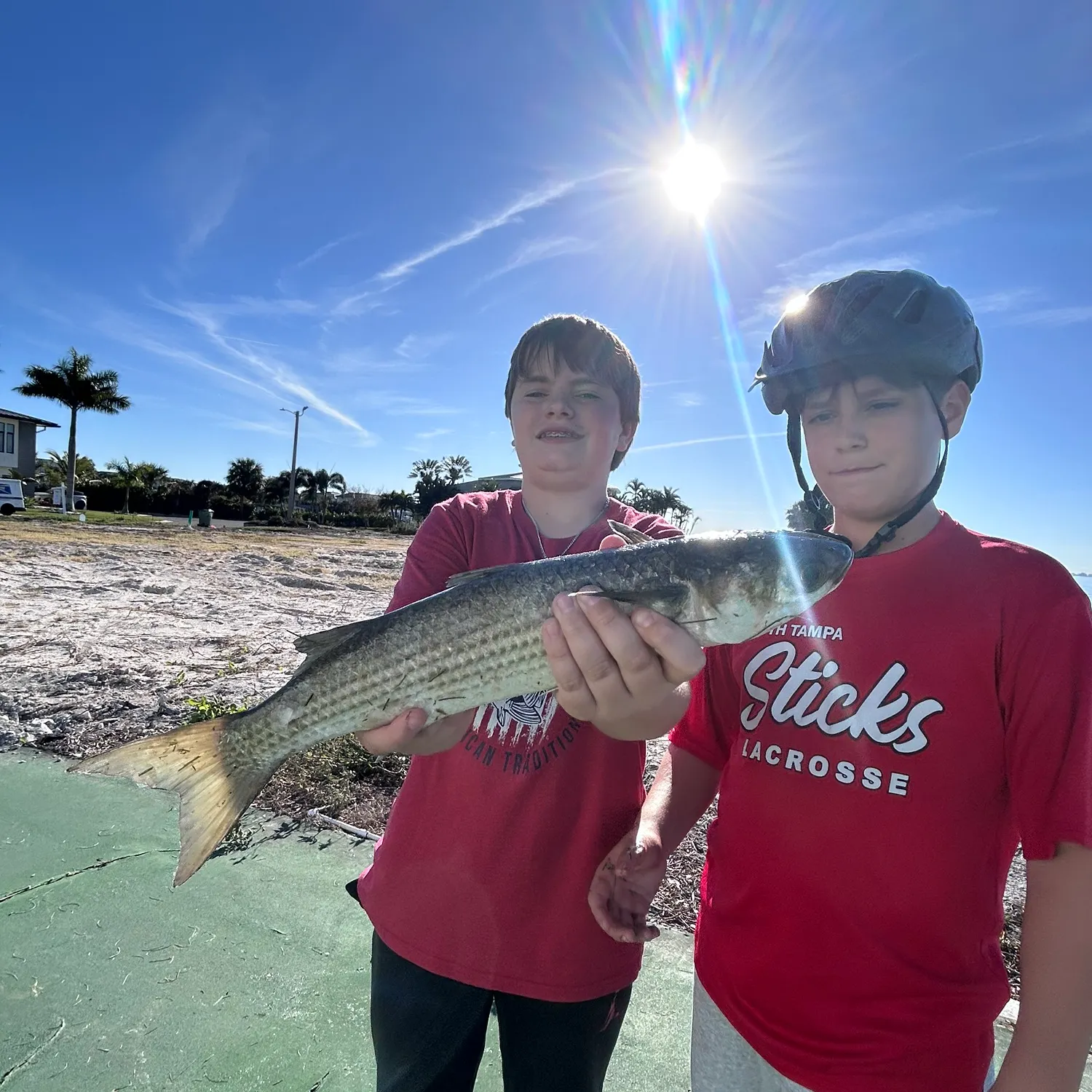 The most recent Striped mullet catches on Fishbrain