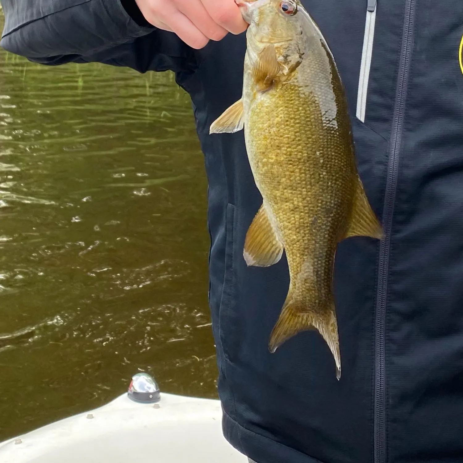 angler catch