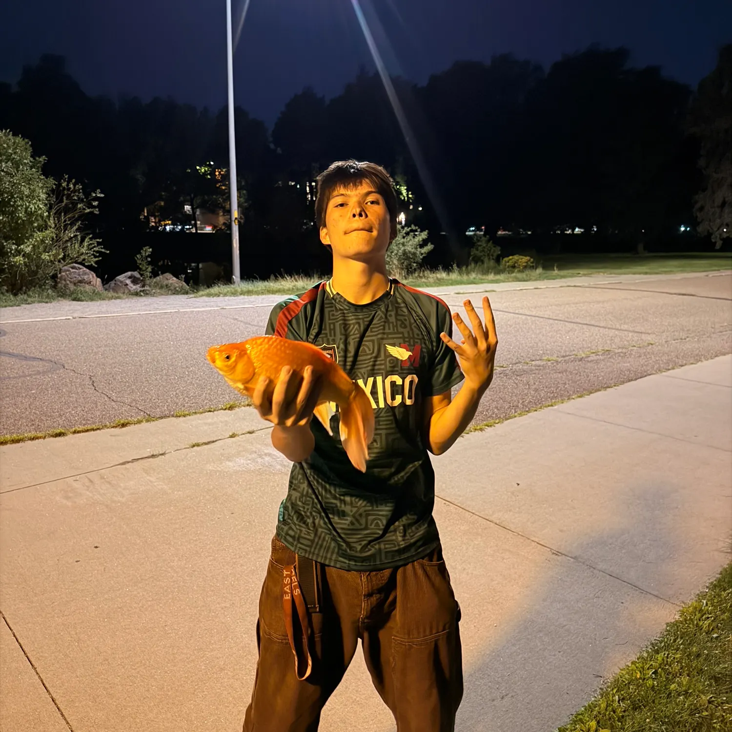 Goldfish caught on Fishbrain
