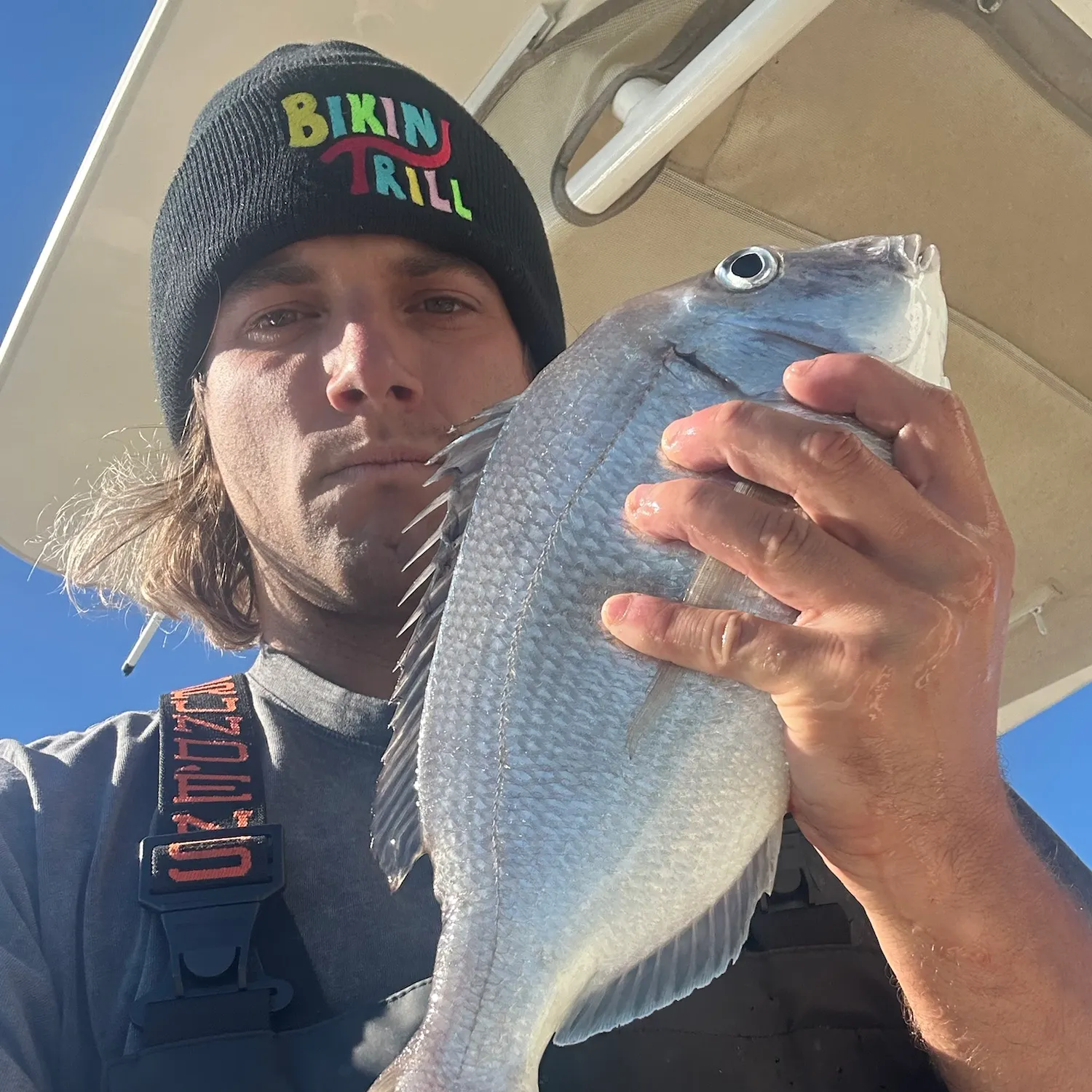The most recent Scup catches on Fishbrain