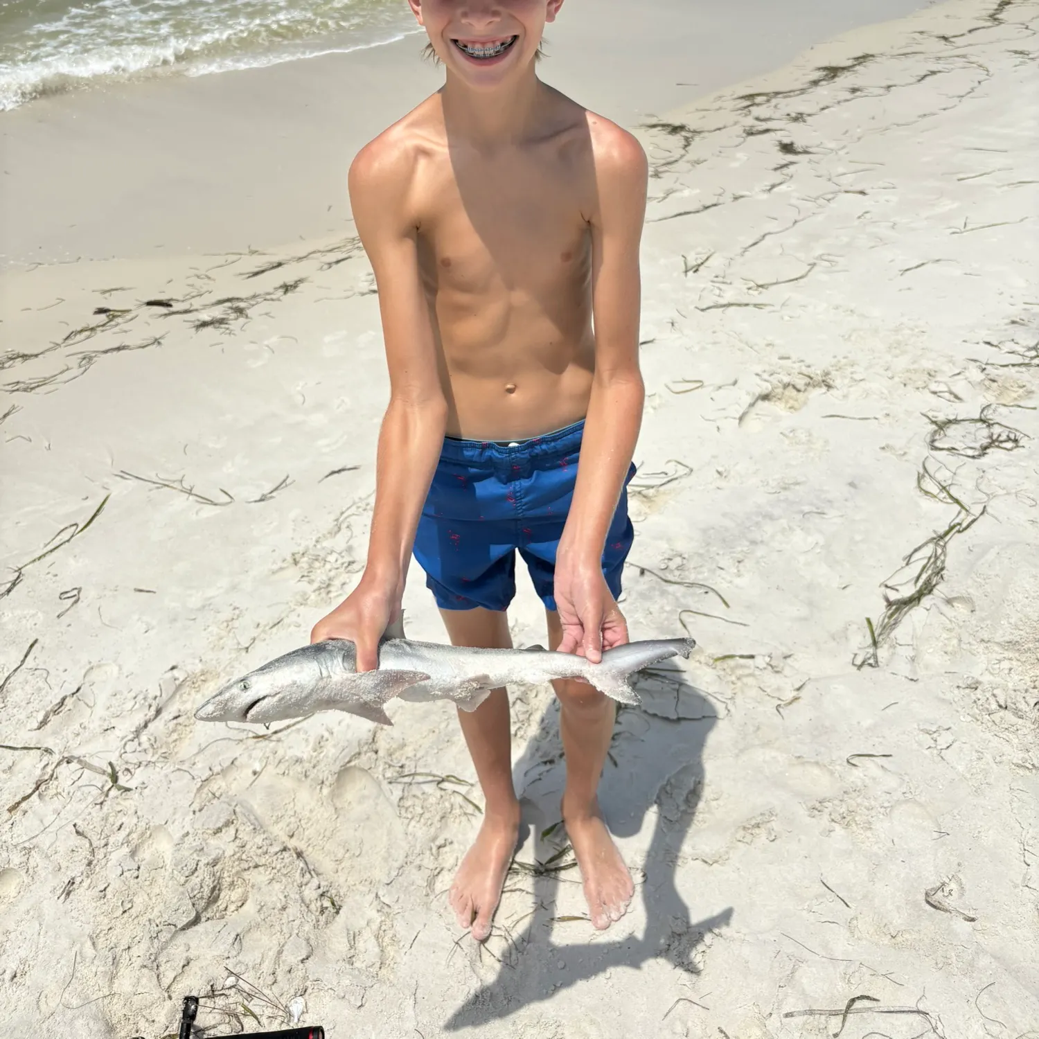 The most recent Atlantic sharpnose shark catches on Fishbrain