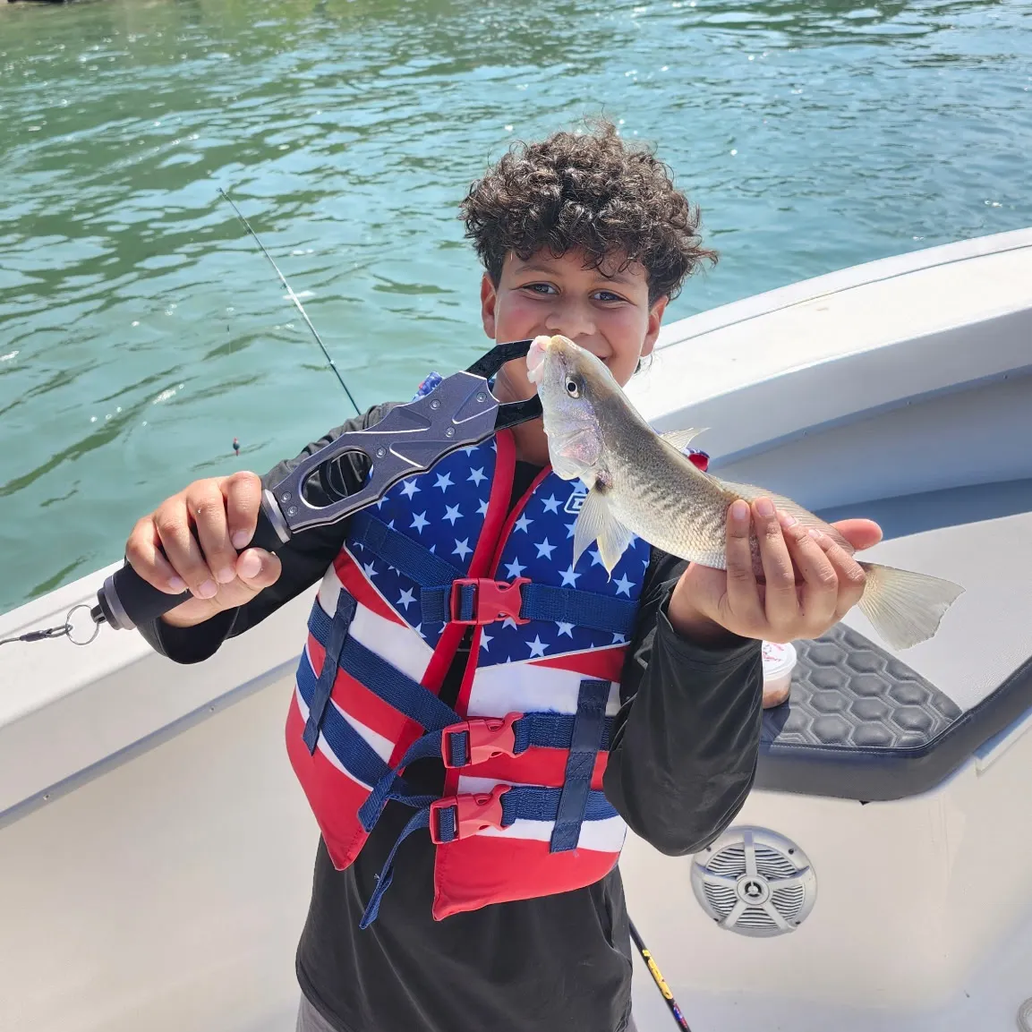 The most recent Spotfin croaker catches on Fishbrain