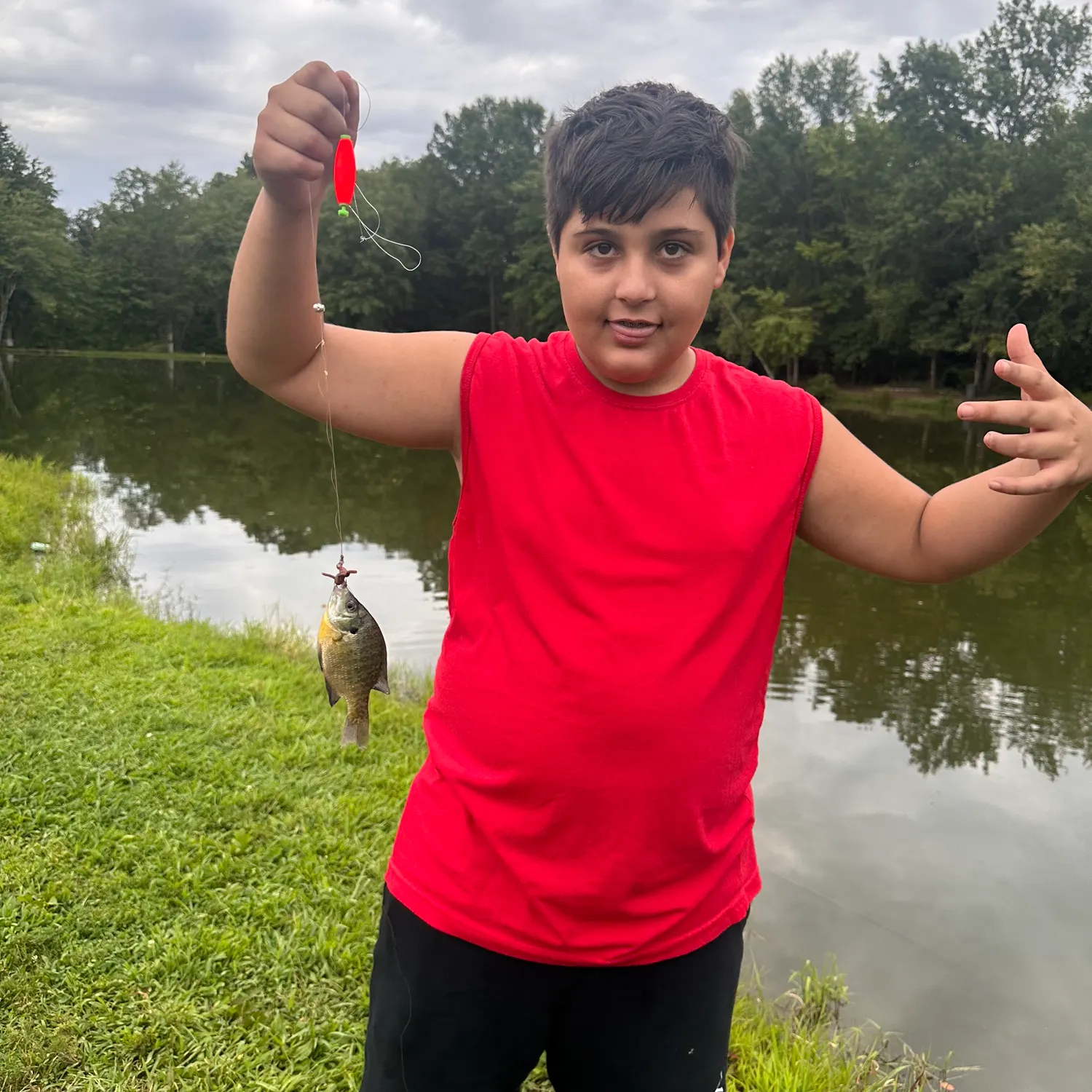 Bluegill caught on Fishbrain