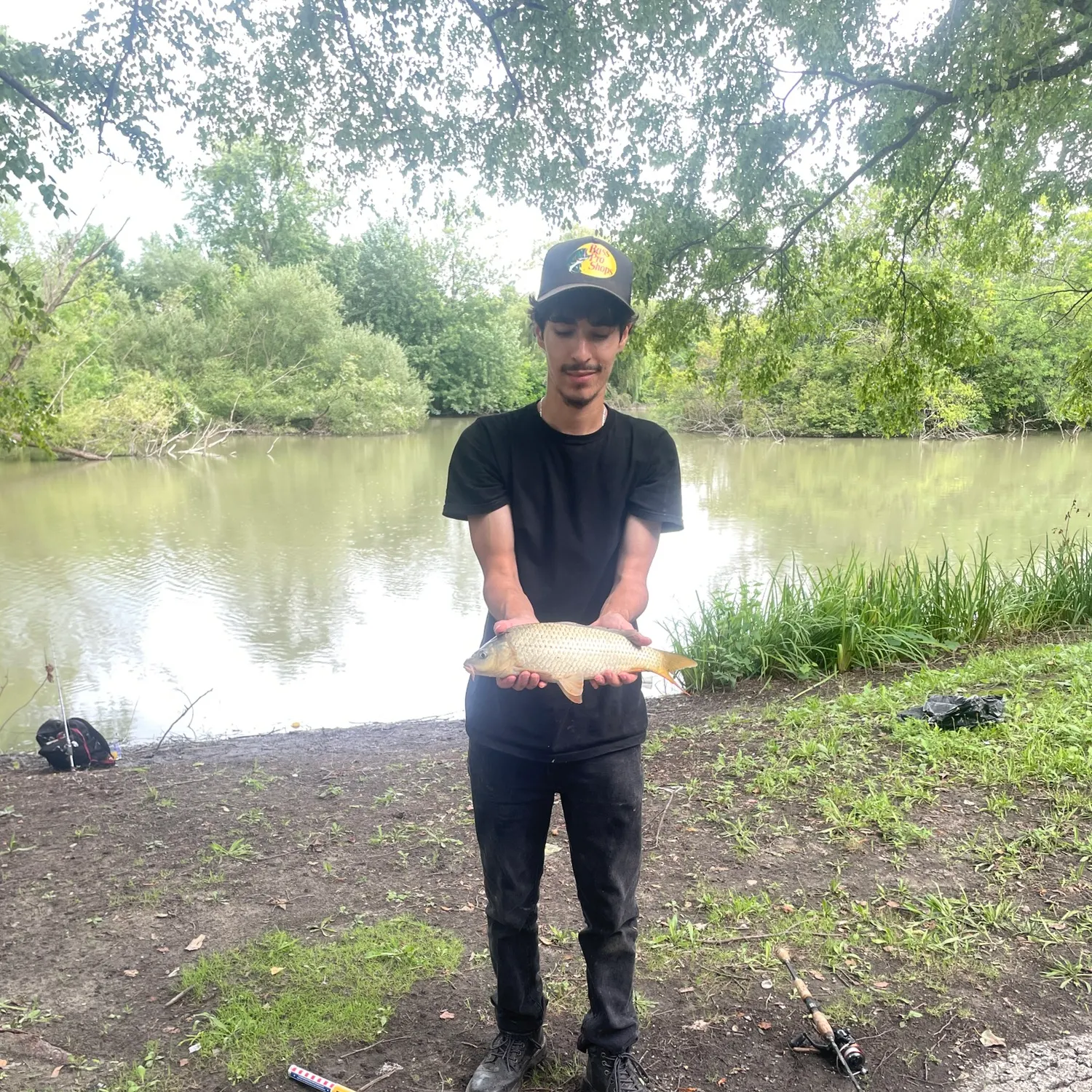 Common carp caught on Fishbrain