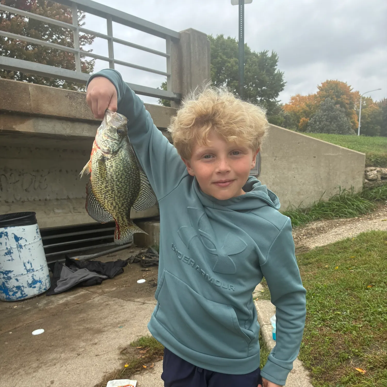 Black crappie caught on Fishbrain