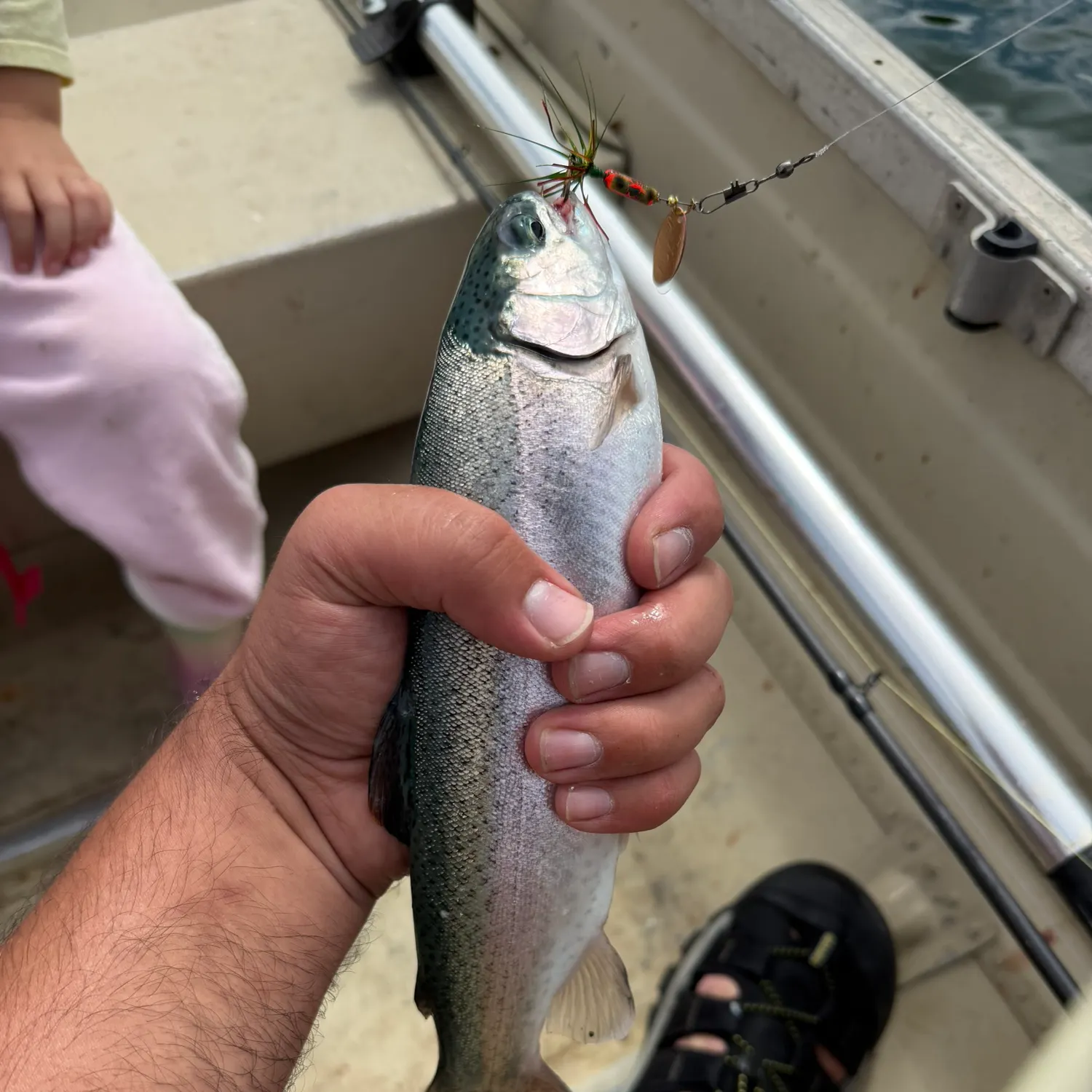 Fish caught on Fishbrain