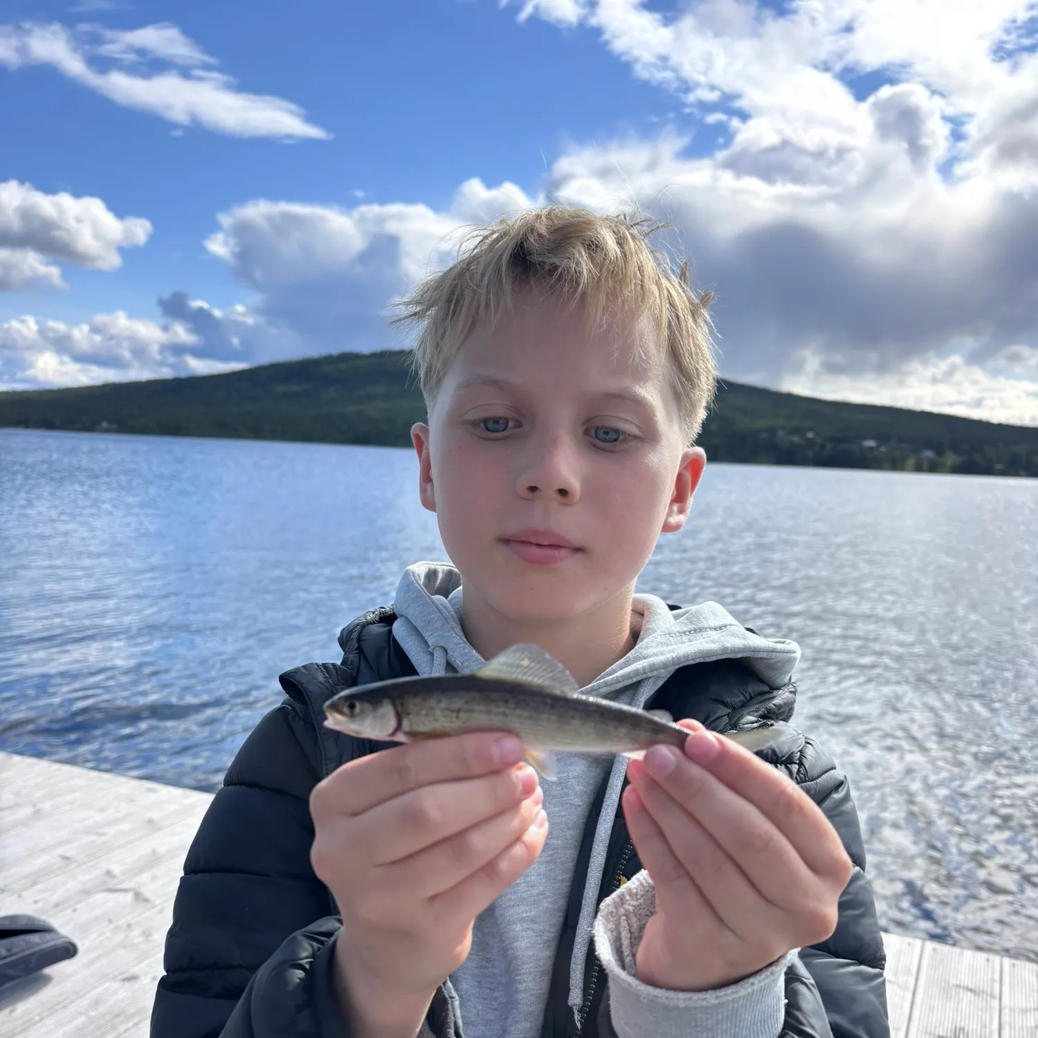 European grayling caught on Fishbrain