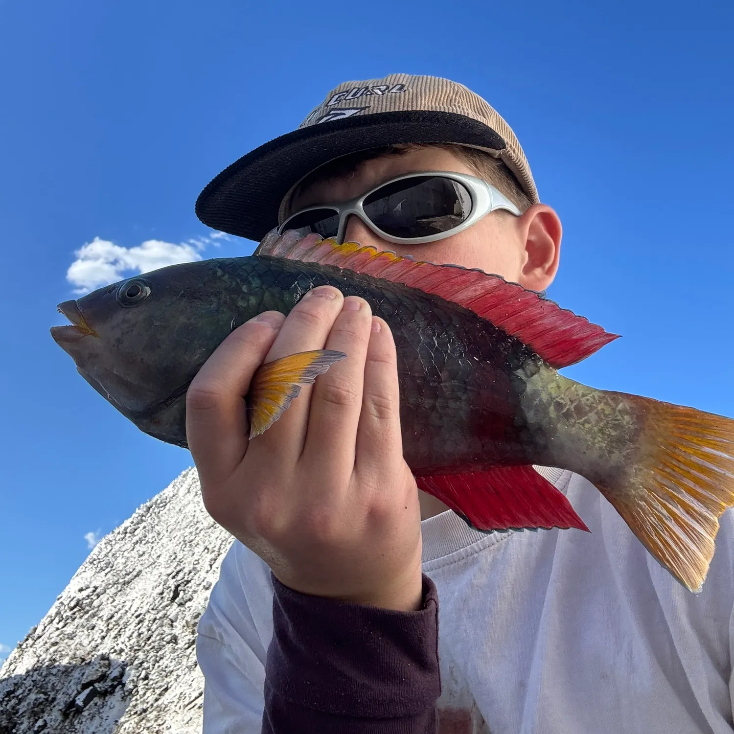 The most recent Corkwing wrasse catches on Fishbrain