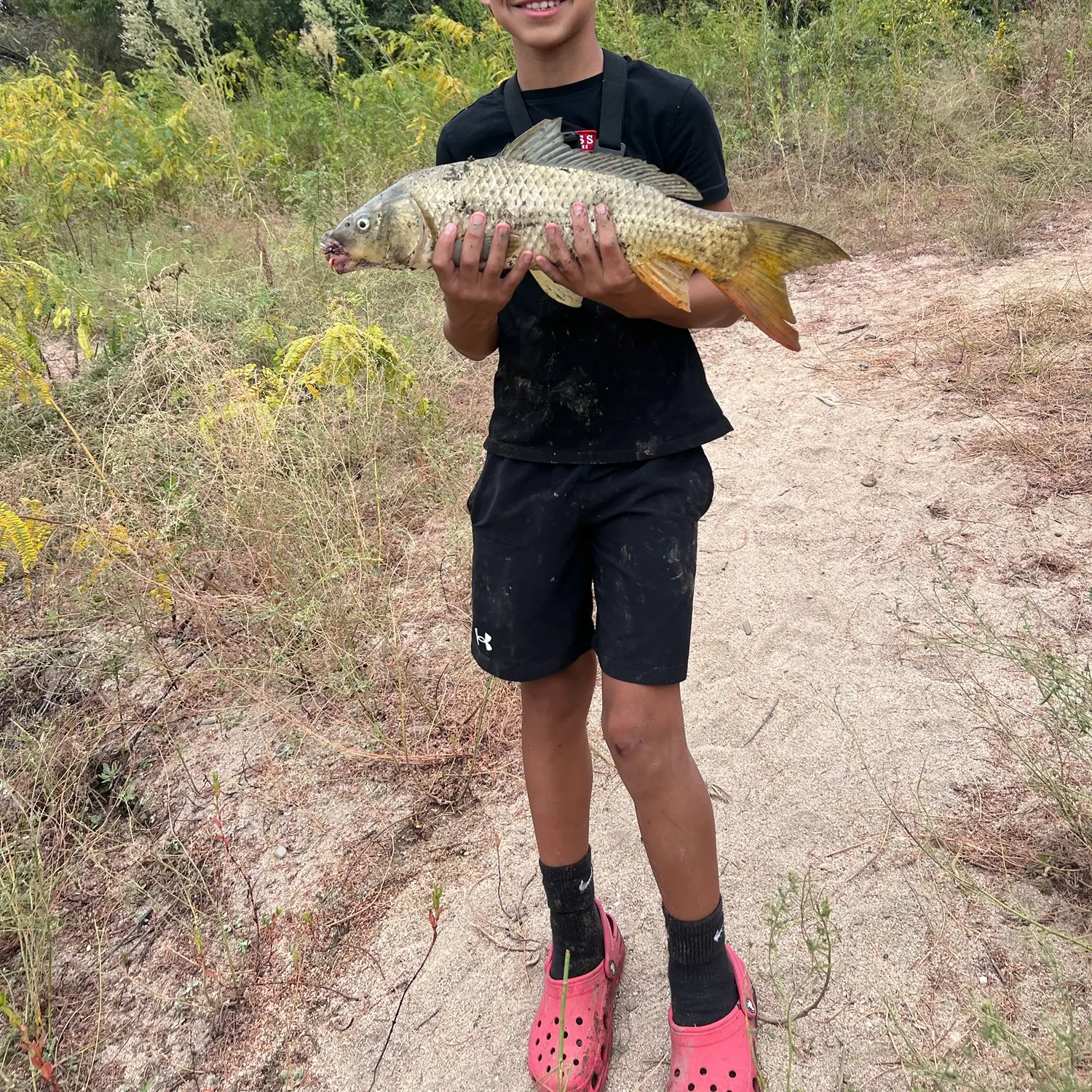 Common carp caught on Fishbrain